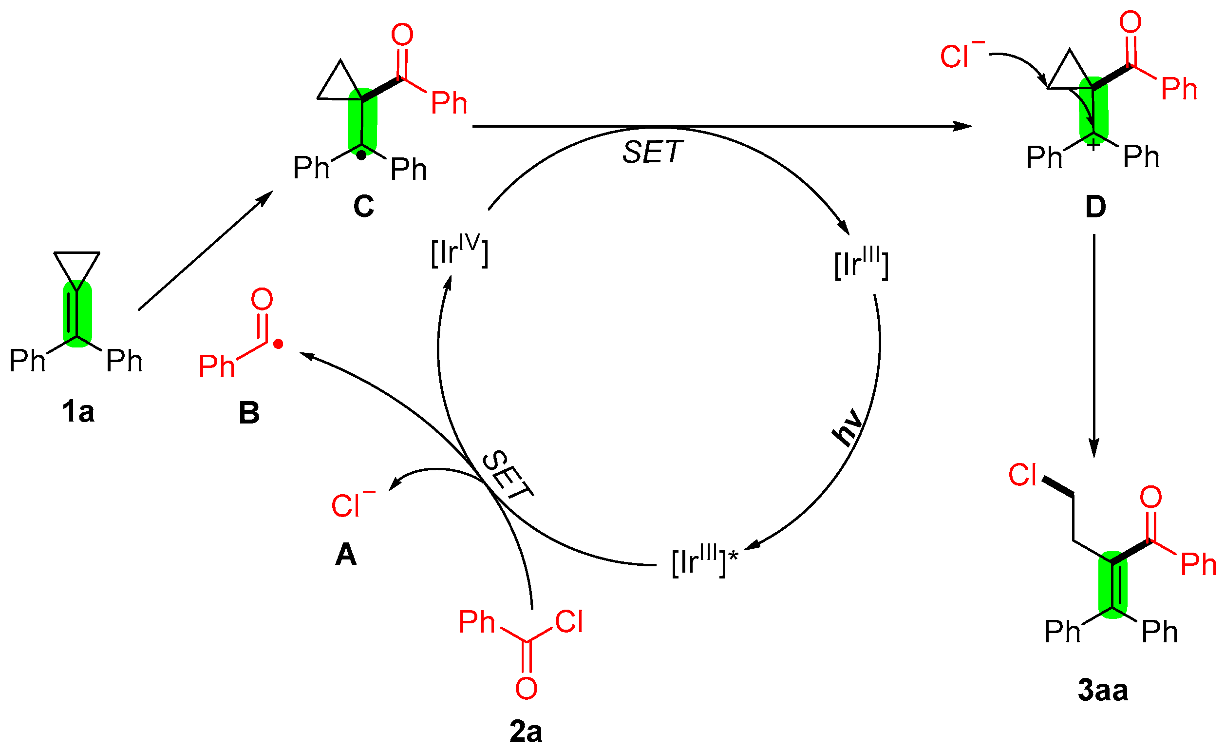 Catalysts 13 00919 sch003