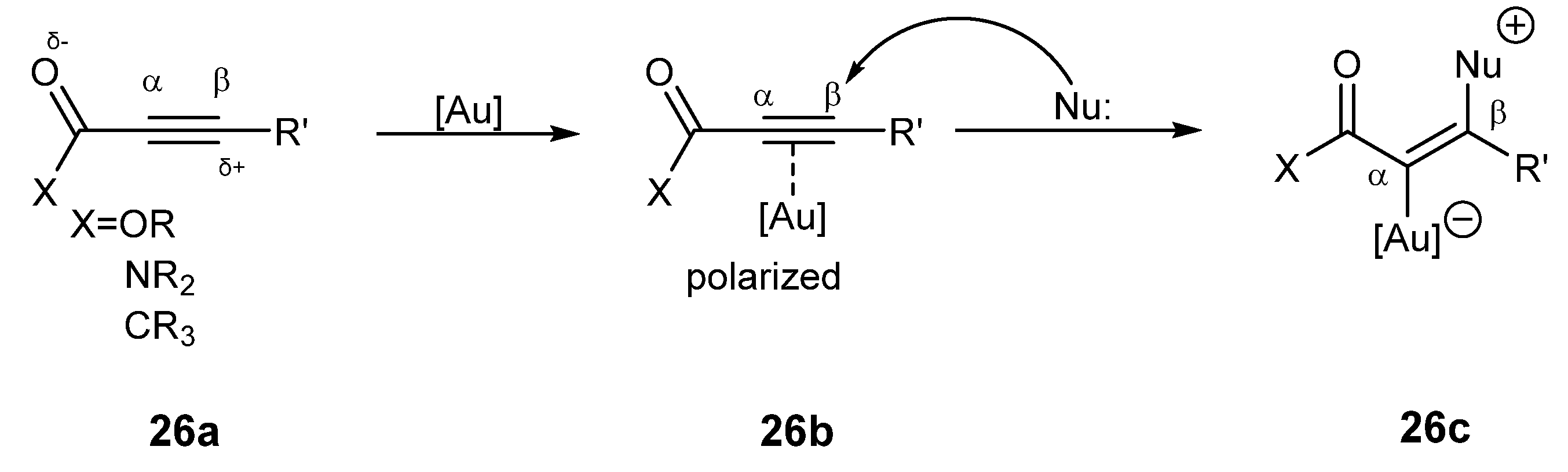Catalysts 13 00921 sch026 Catalysts 13 00921 sch026
