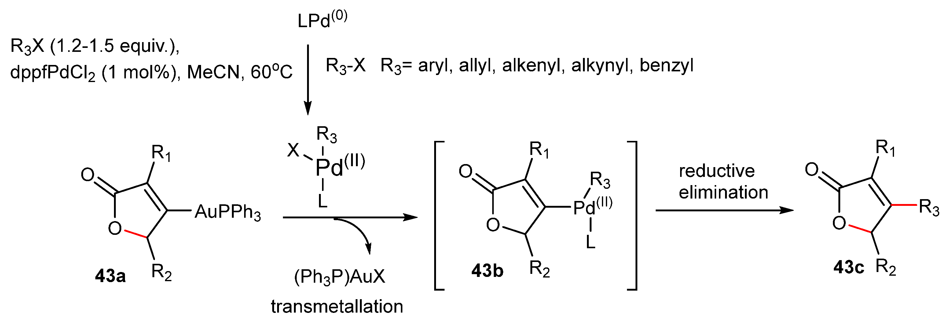 Catalysts 13 00921 sch043 Catalysts 13 00921 sch043