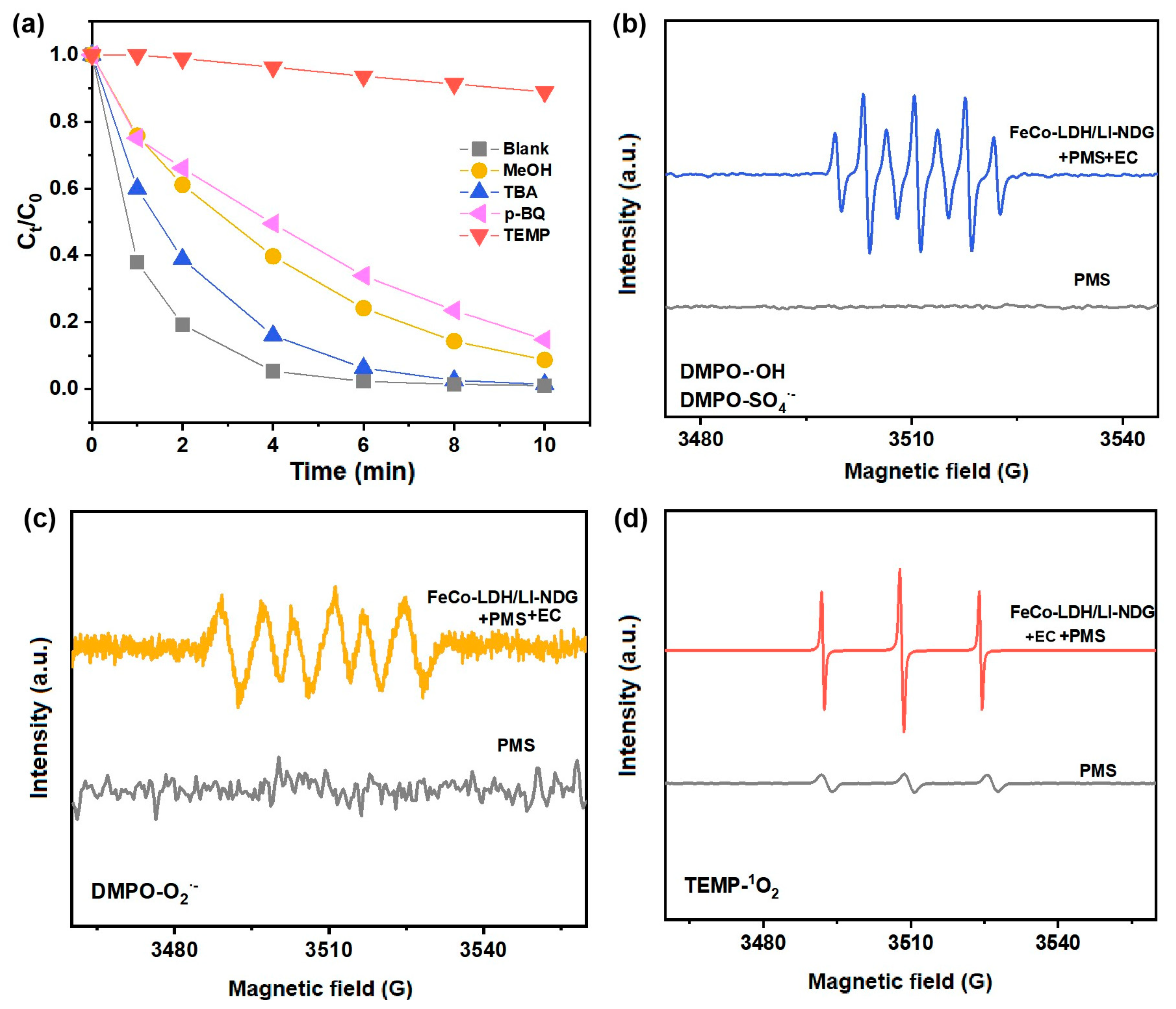 Catalysts 13 00922 g007 Catalysts 13 00922 g007