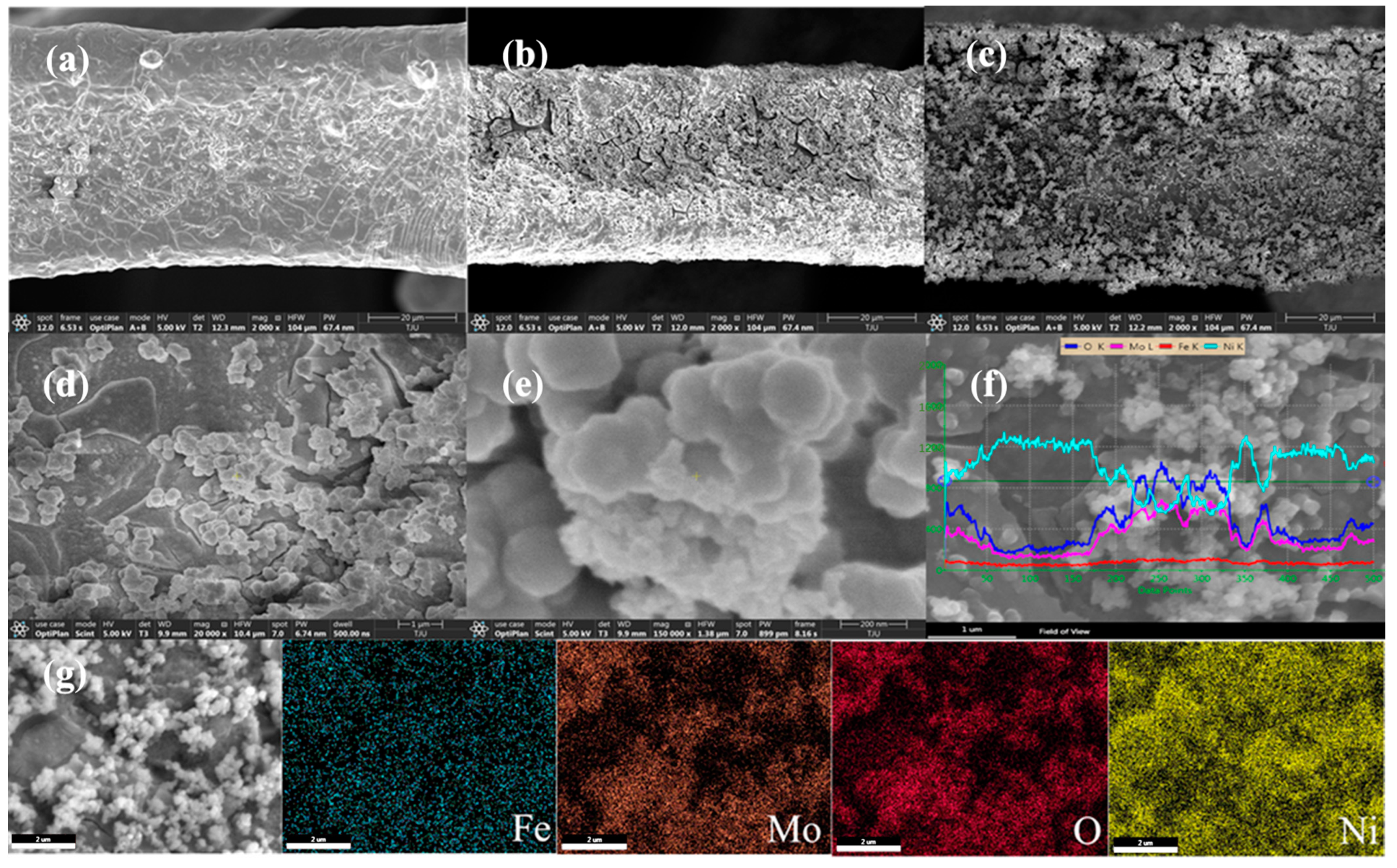 Catalysts 13 00924 g001 Catalysts 13 00924 g001
