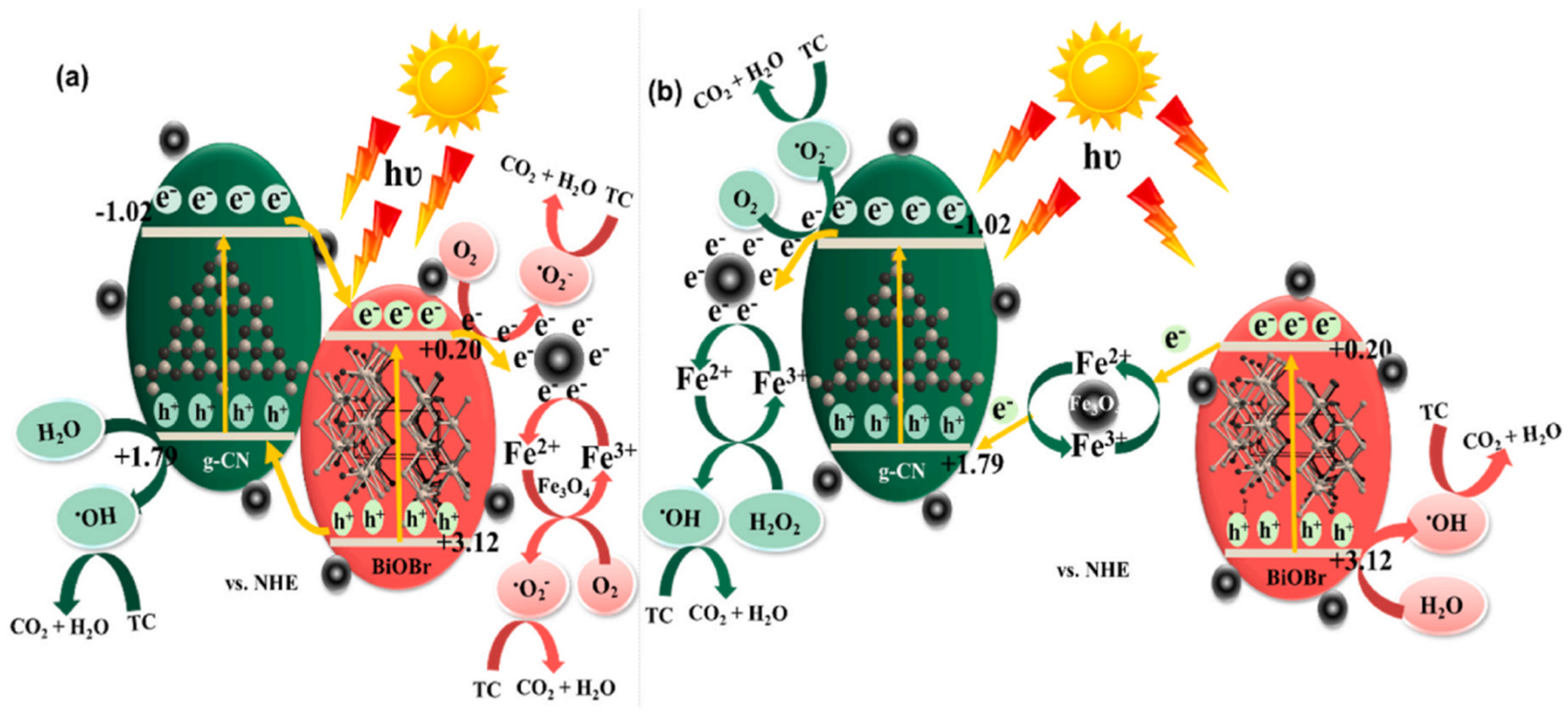 Catalysts 13 00925 g004 Catalysts 13 00925 g004