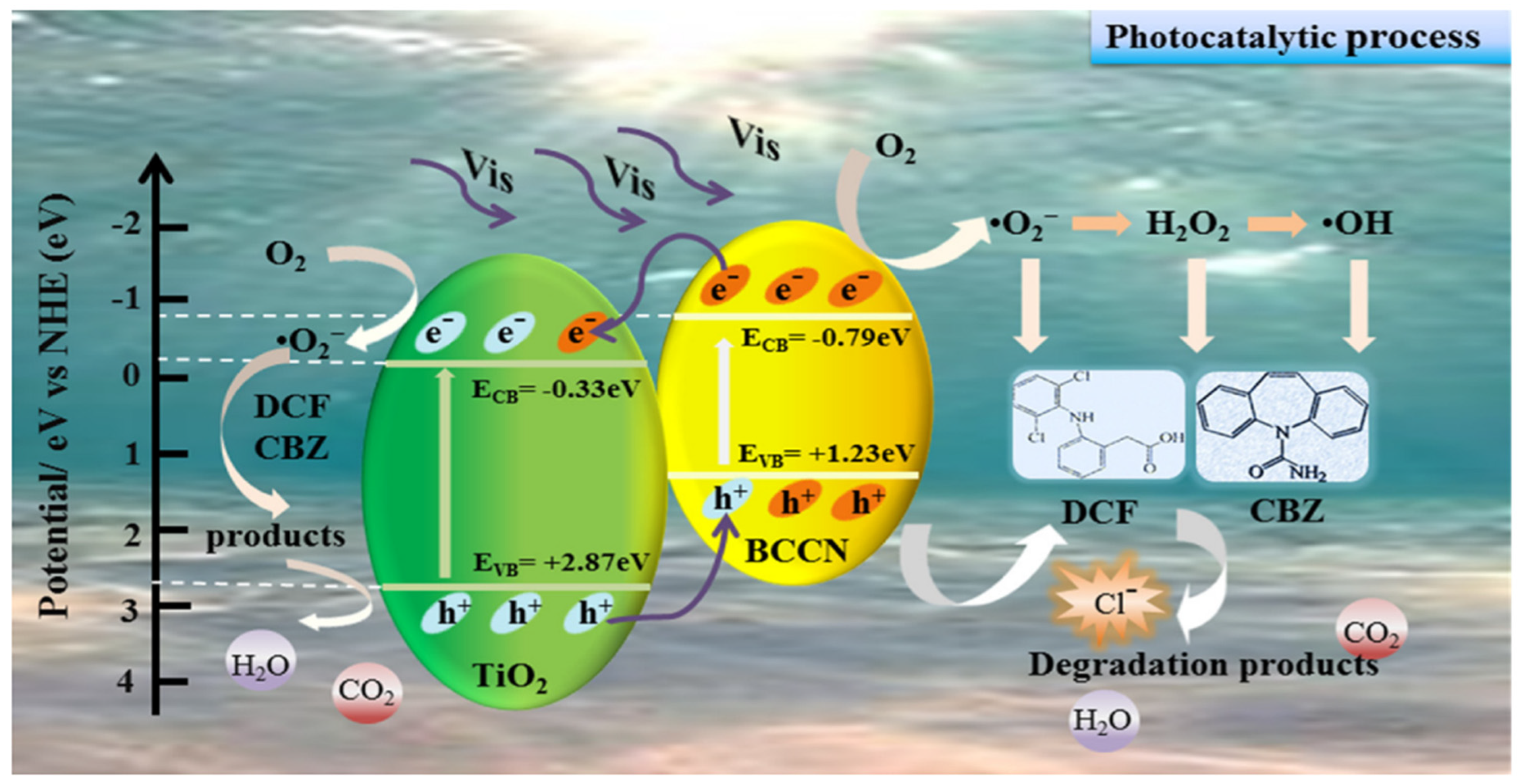 Catalysts 13 00925 g005 Catalysts 13 00925 g005