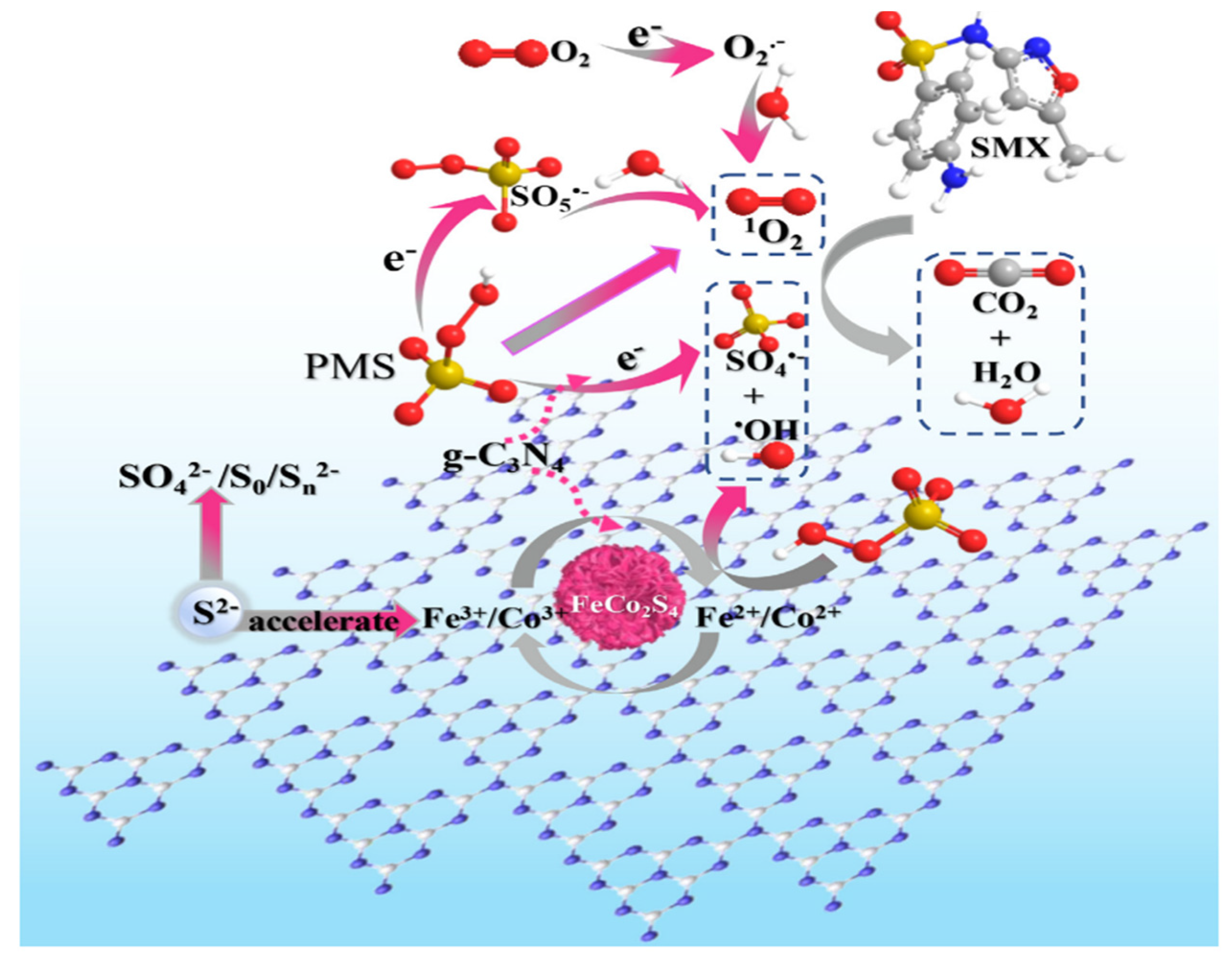 Catalysts 13 00925 g006 Catalysts 13 00925 g006