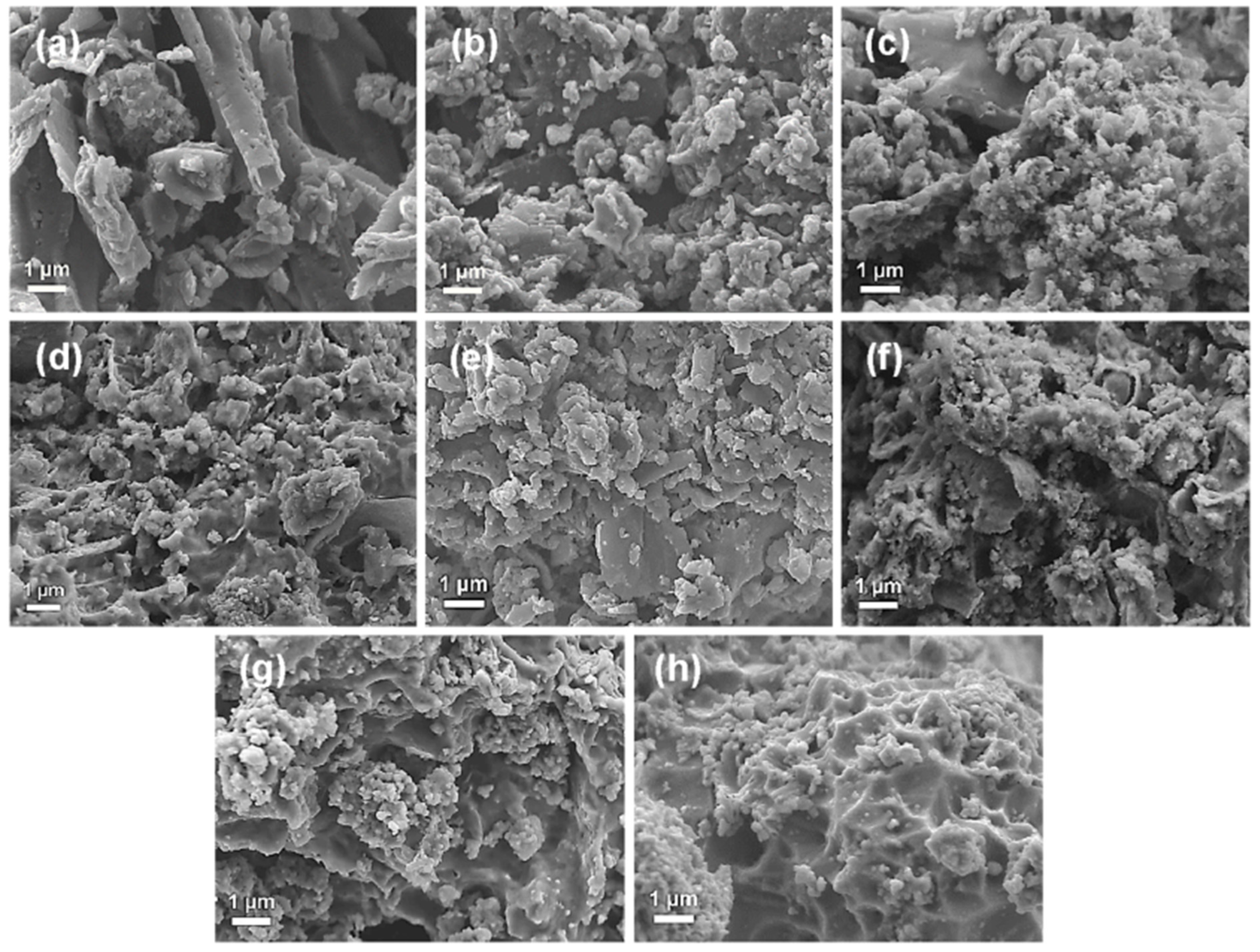 Catalysts 13 00925 g007 Catalysts 13 00925 g007