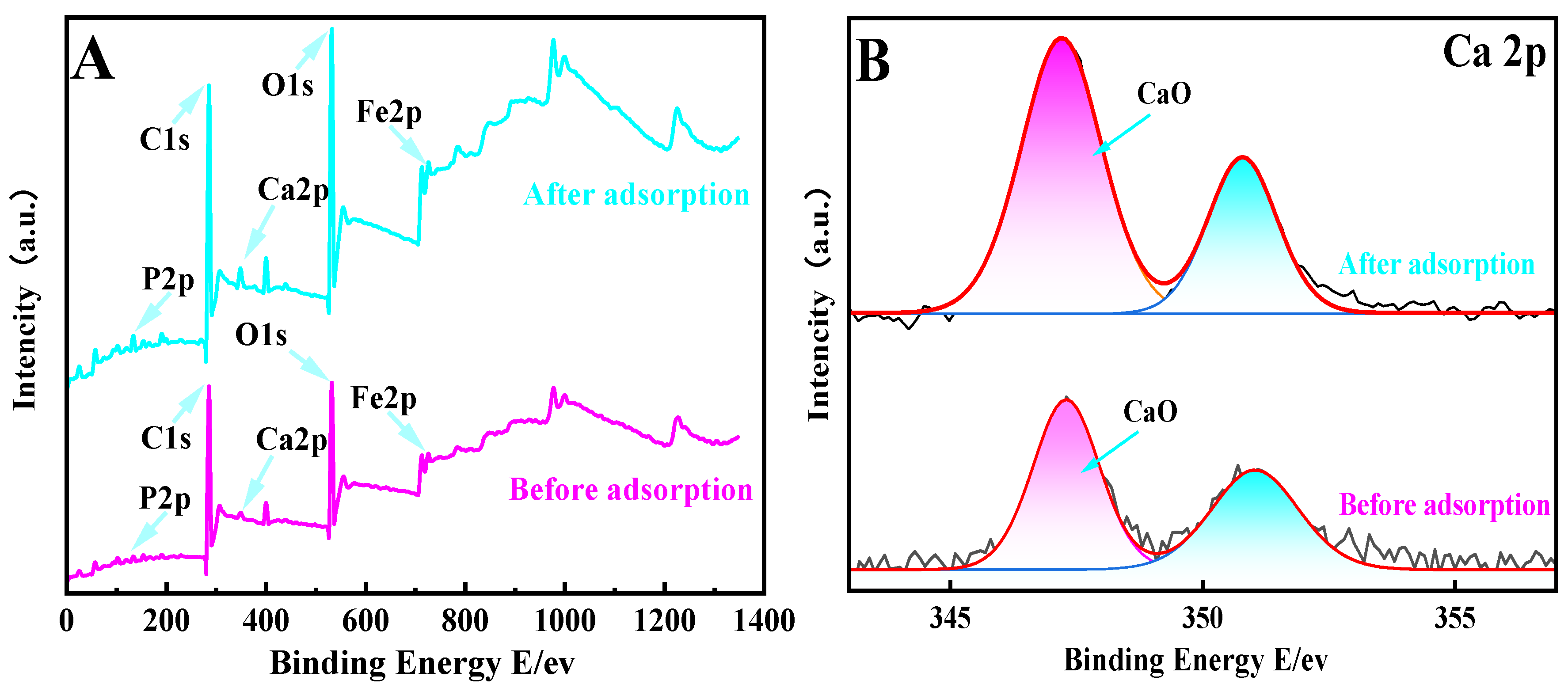 Catalysts 13 00927 g003a Catalysts 13 00927 g003a