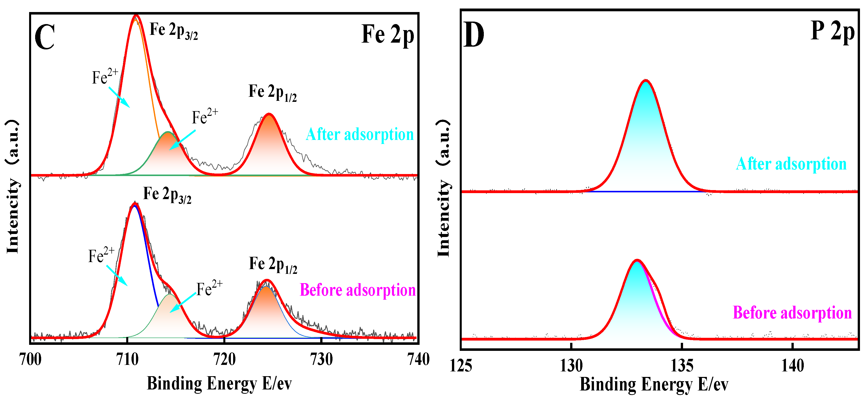 Catalysts 13 00927 g003b Catalysts 13 00927 g003b