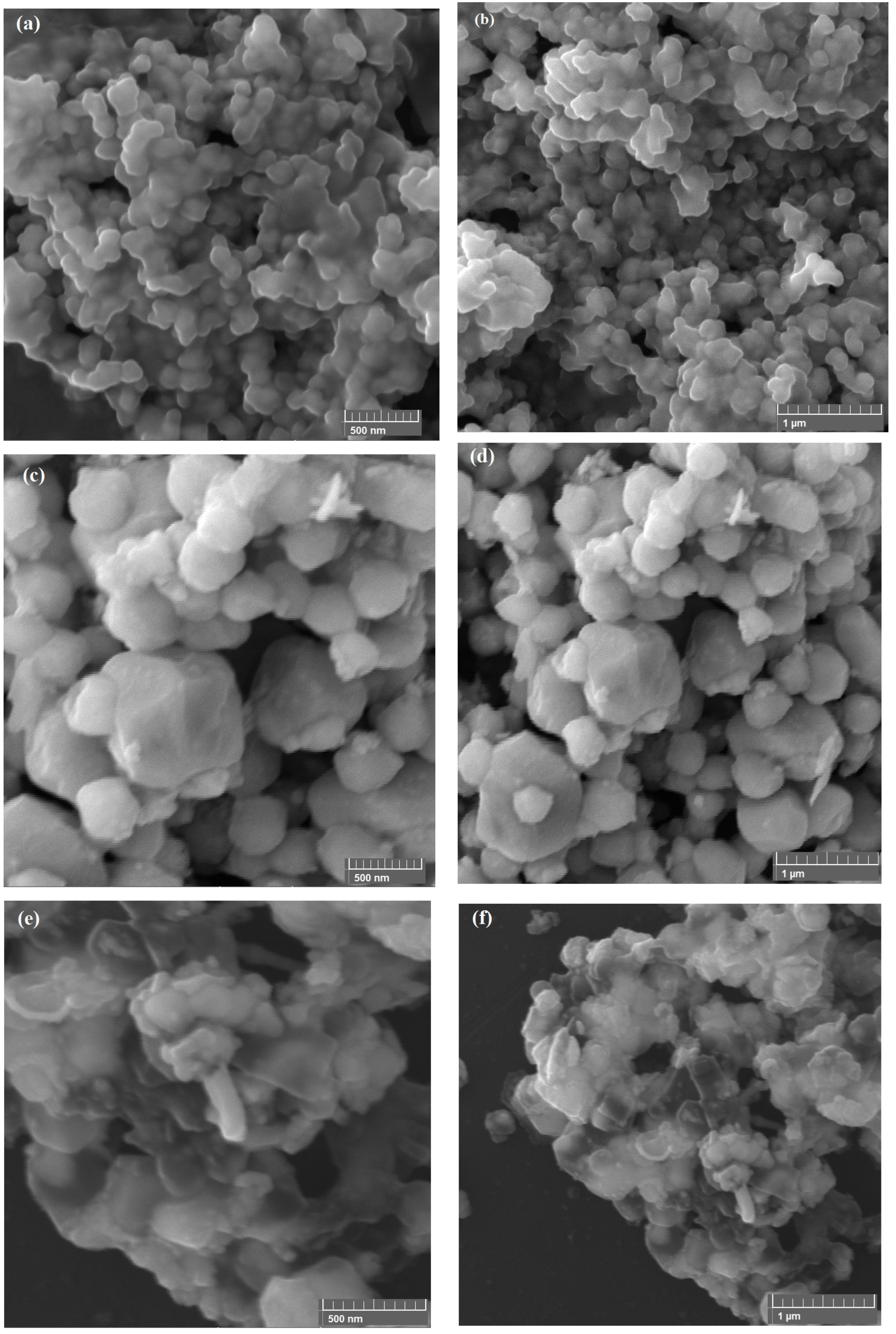 Catalysts 13 00929 g002 Catalysts 13 00929 g002