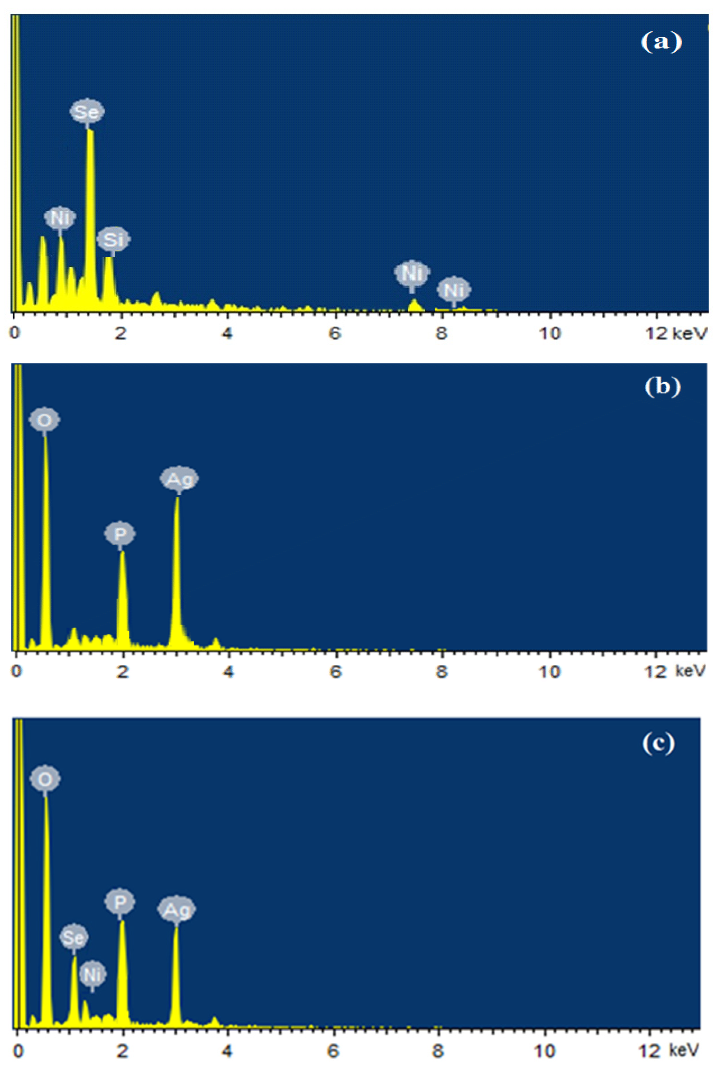 Catalysts 13 00929 g003 Catalysts 13 00929 g003