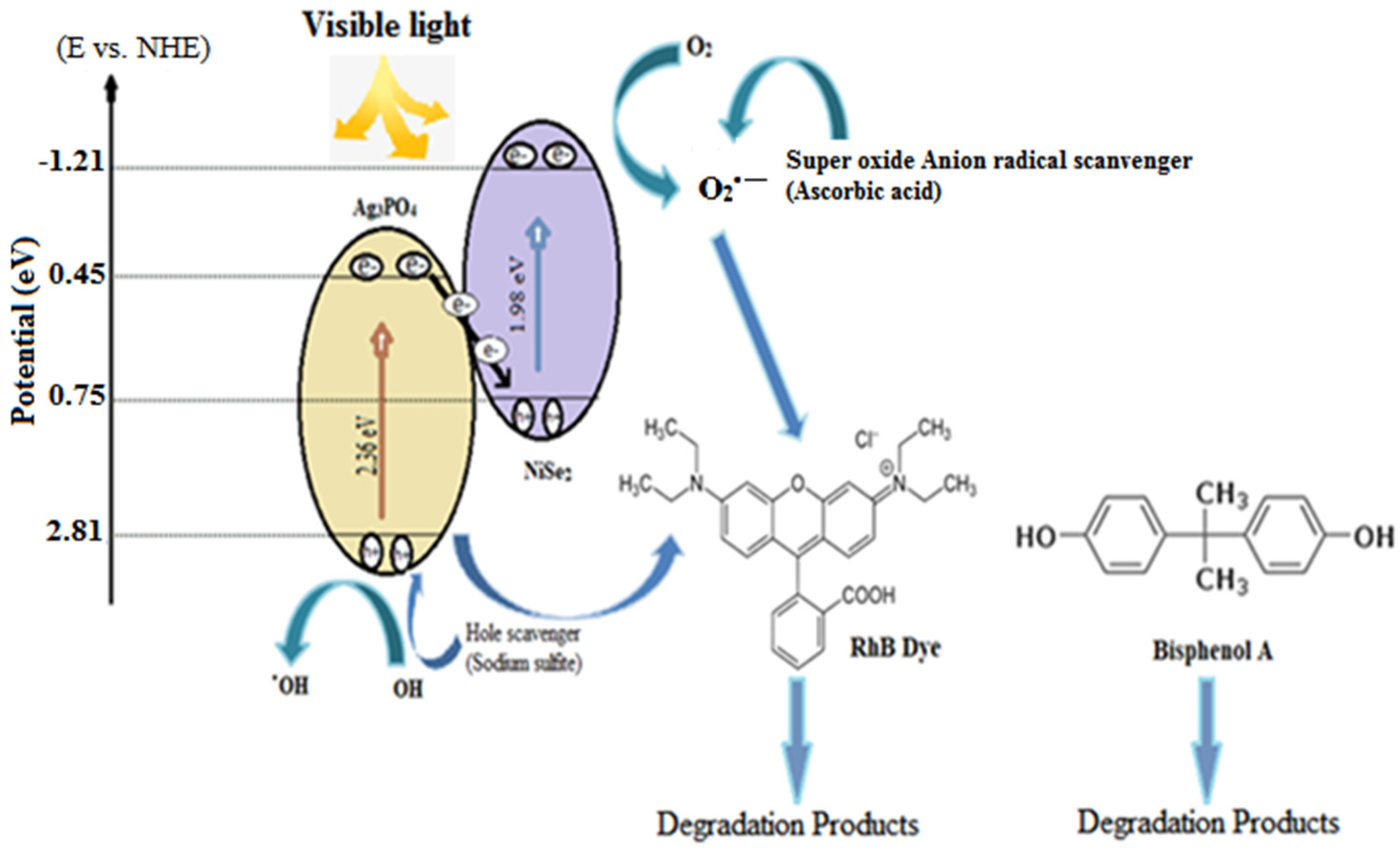 Catalysts 13 00929 g009 Catalysts 13 00929 g009