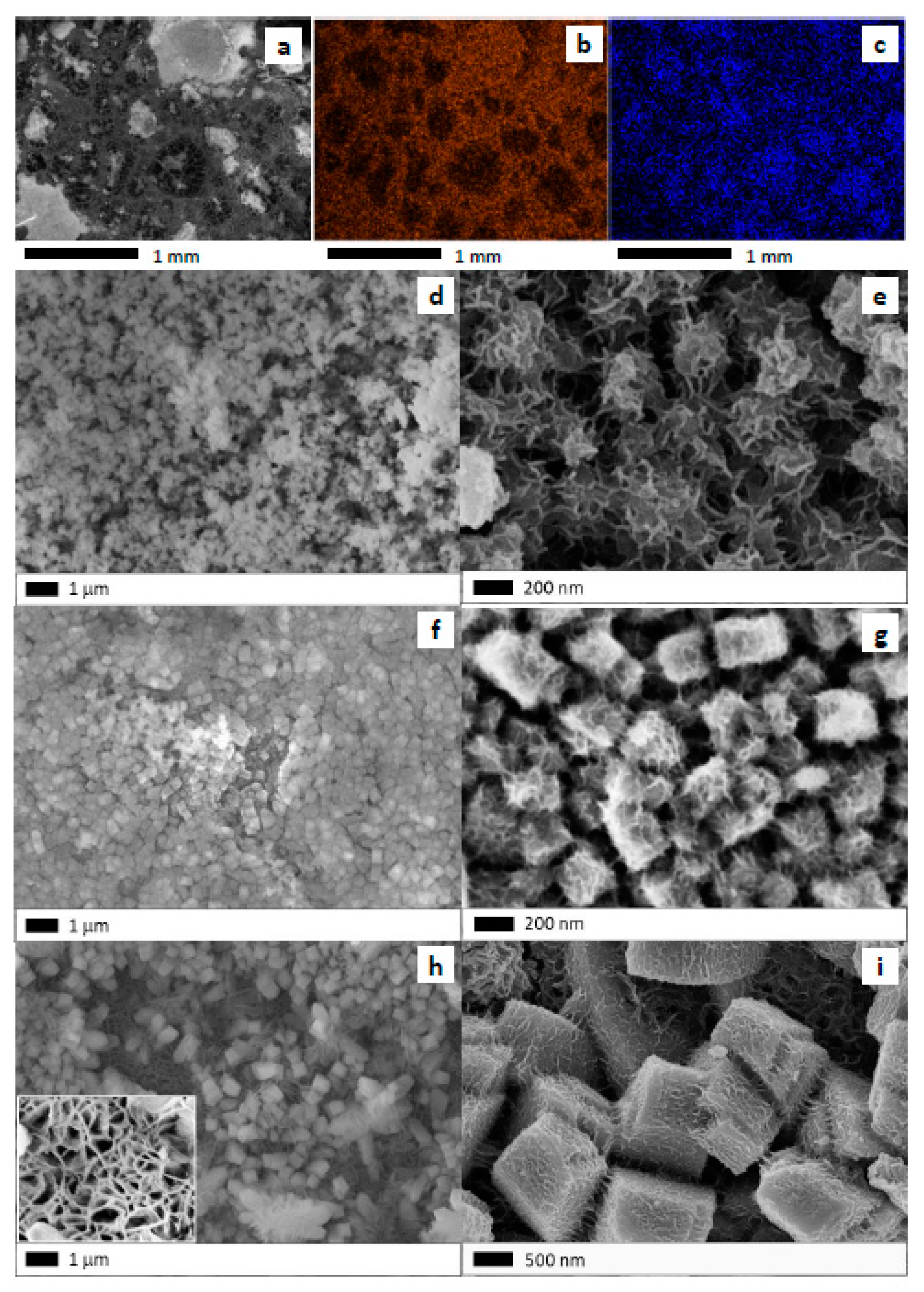 Catalysts 13 00932 g005 Catalysts 13 00932 g005