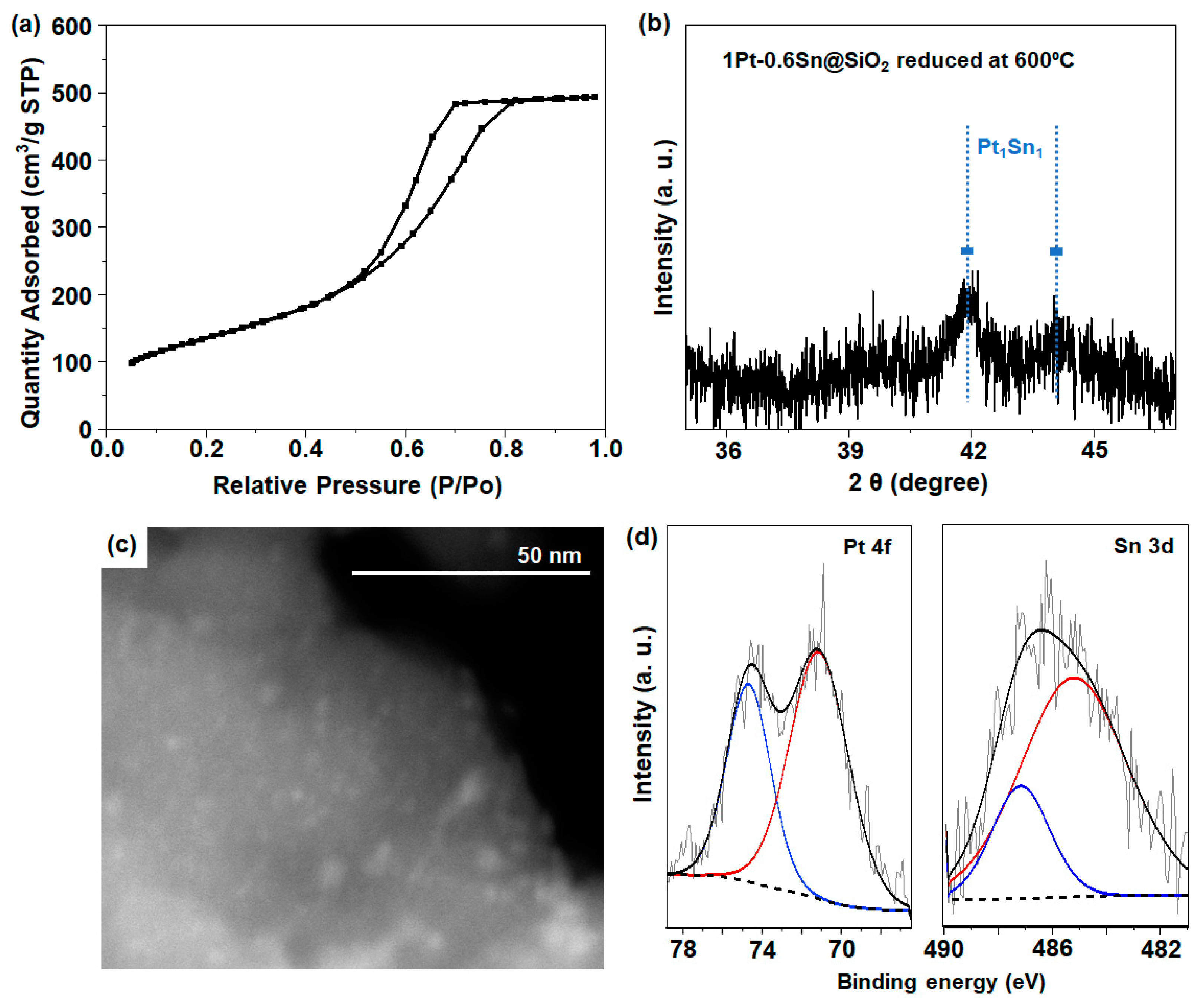 Catalysts 13 00933 g001 Catalysts 13 00933 g001