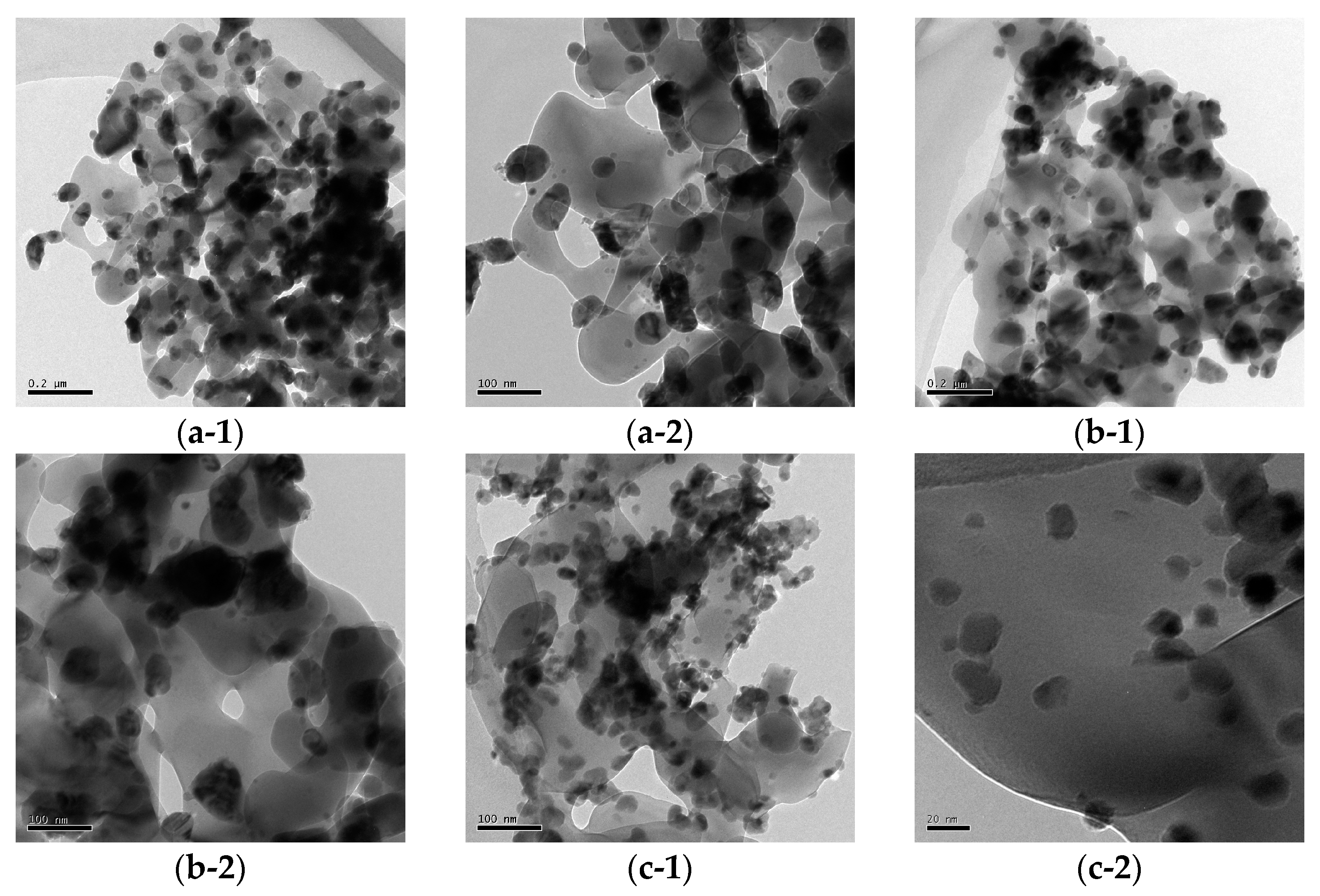 Catalysts 13 00934 g004 Catalysts 13 00934 g004