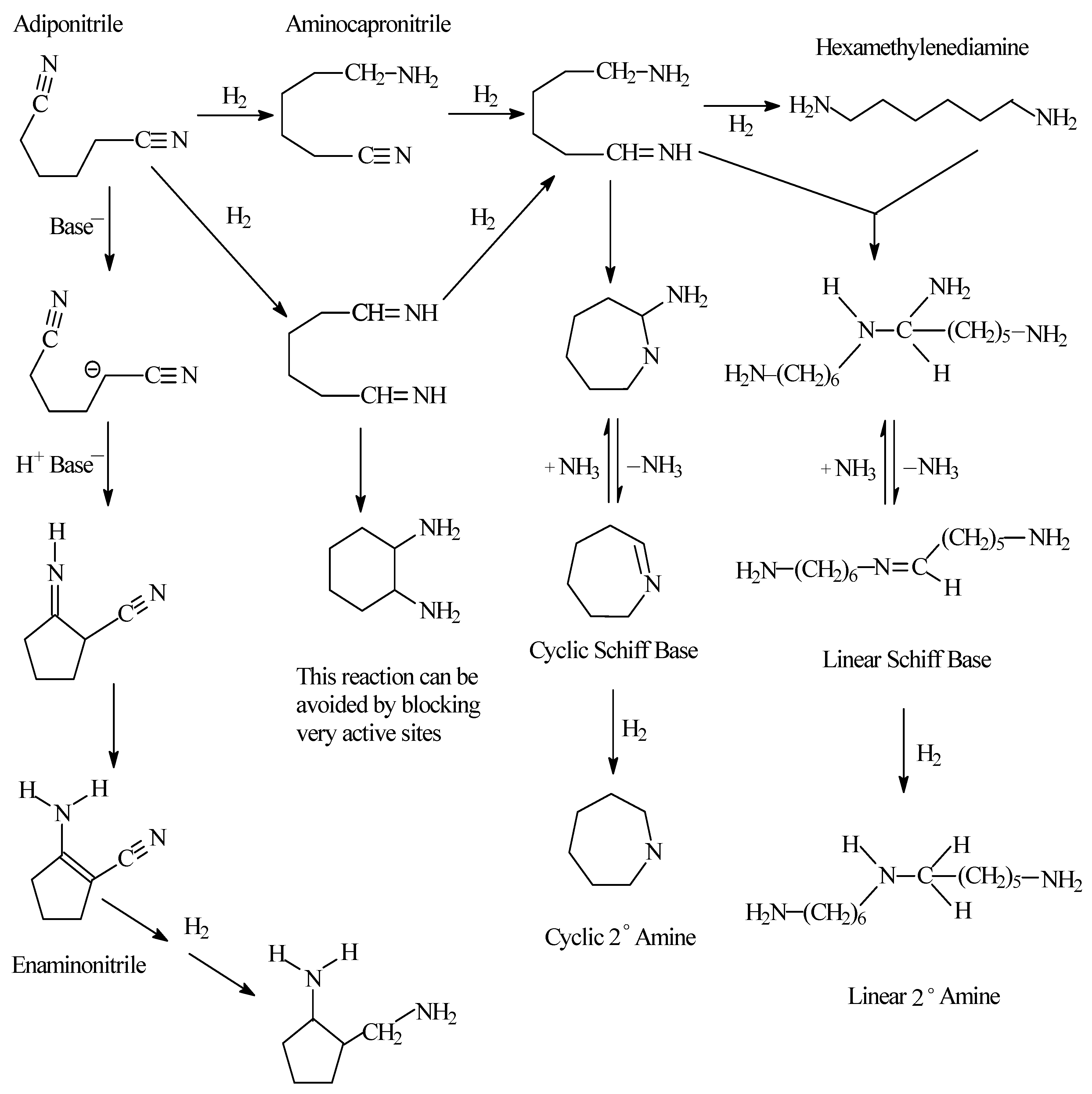 Catalysts 13 00934 g007 Catalysts 13 00934 g007
