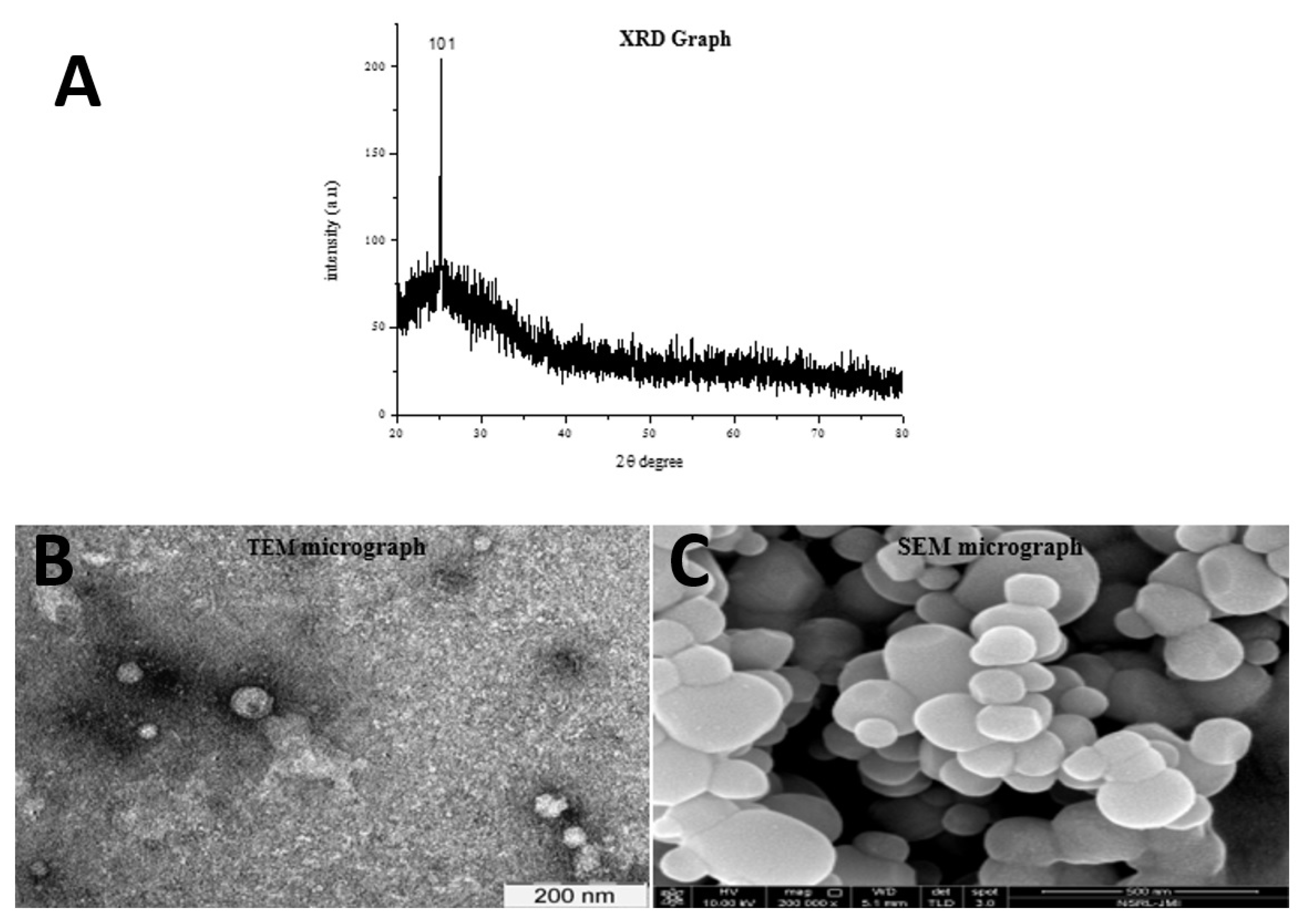 Catalysts 13 00937 g002