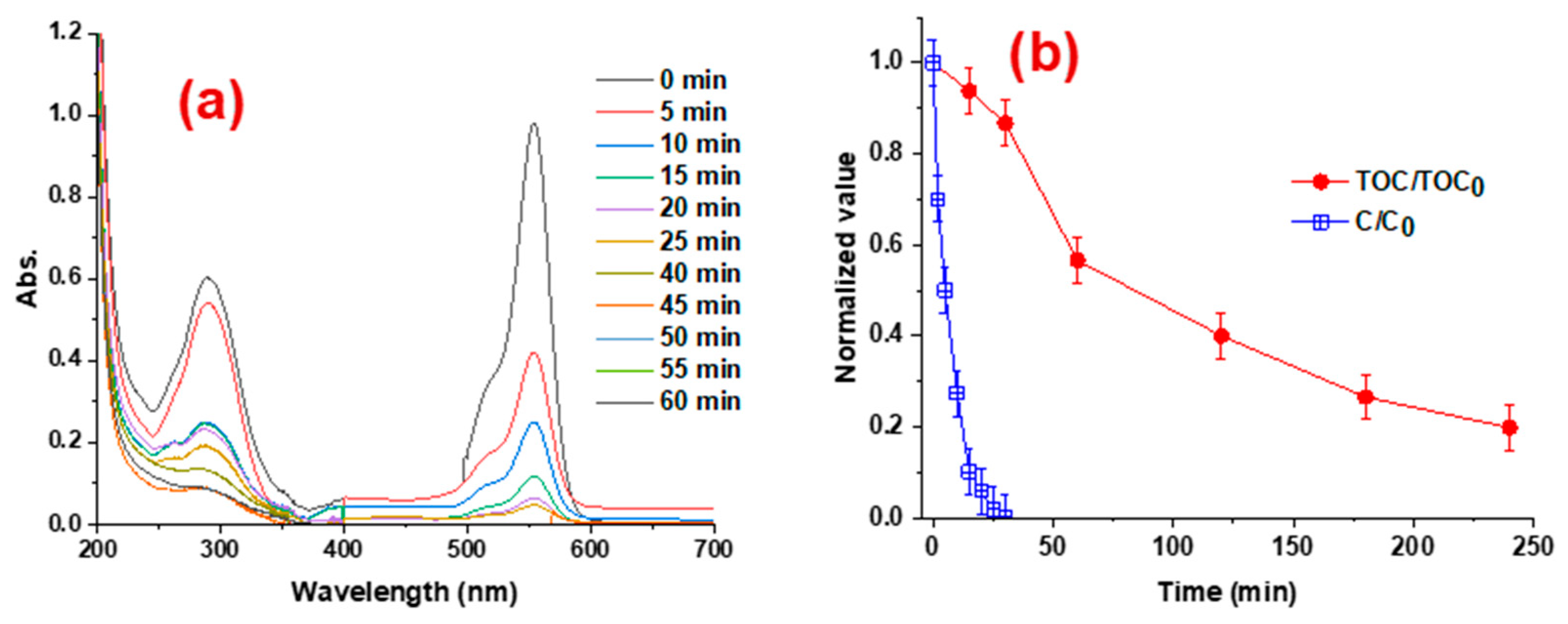 Catalysts 13 00942 g002