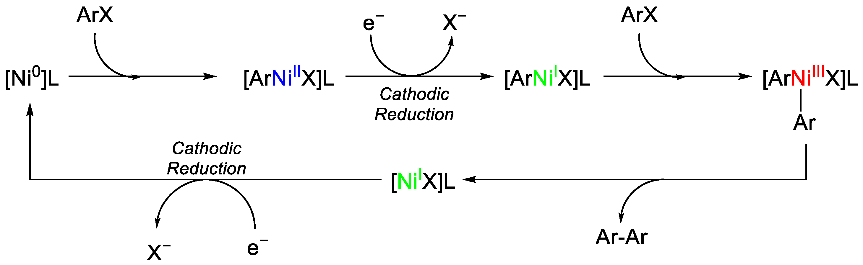 Catalysts 13 00944 g001