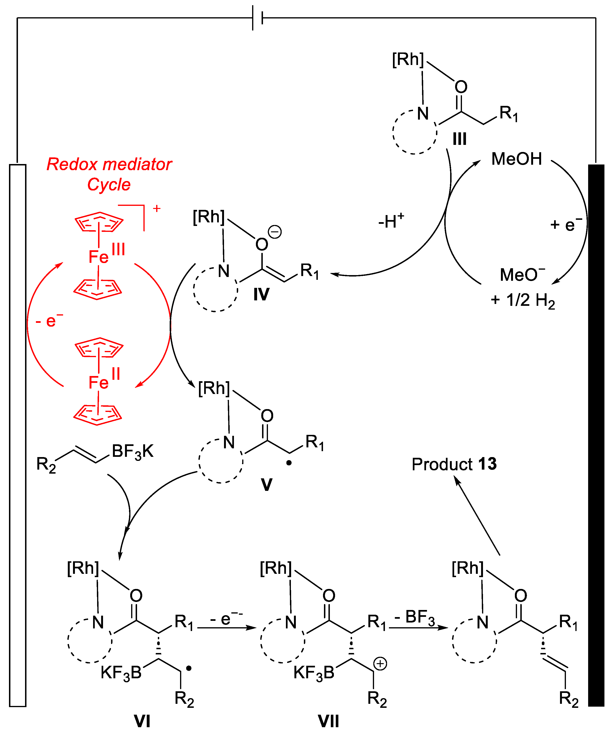 Catalysts 13 00944 g005