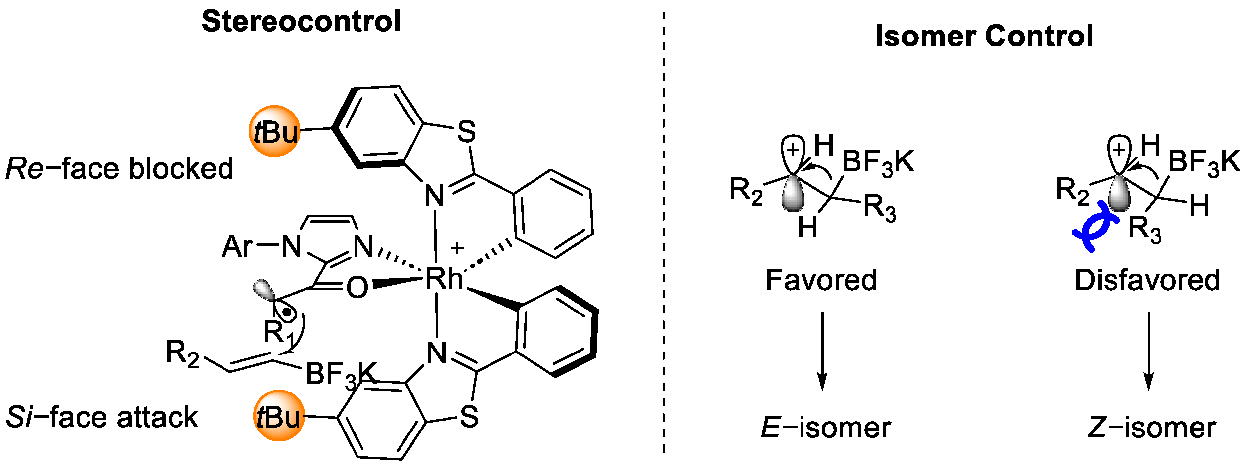 Catalysts 13 00944 g006