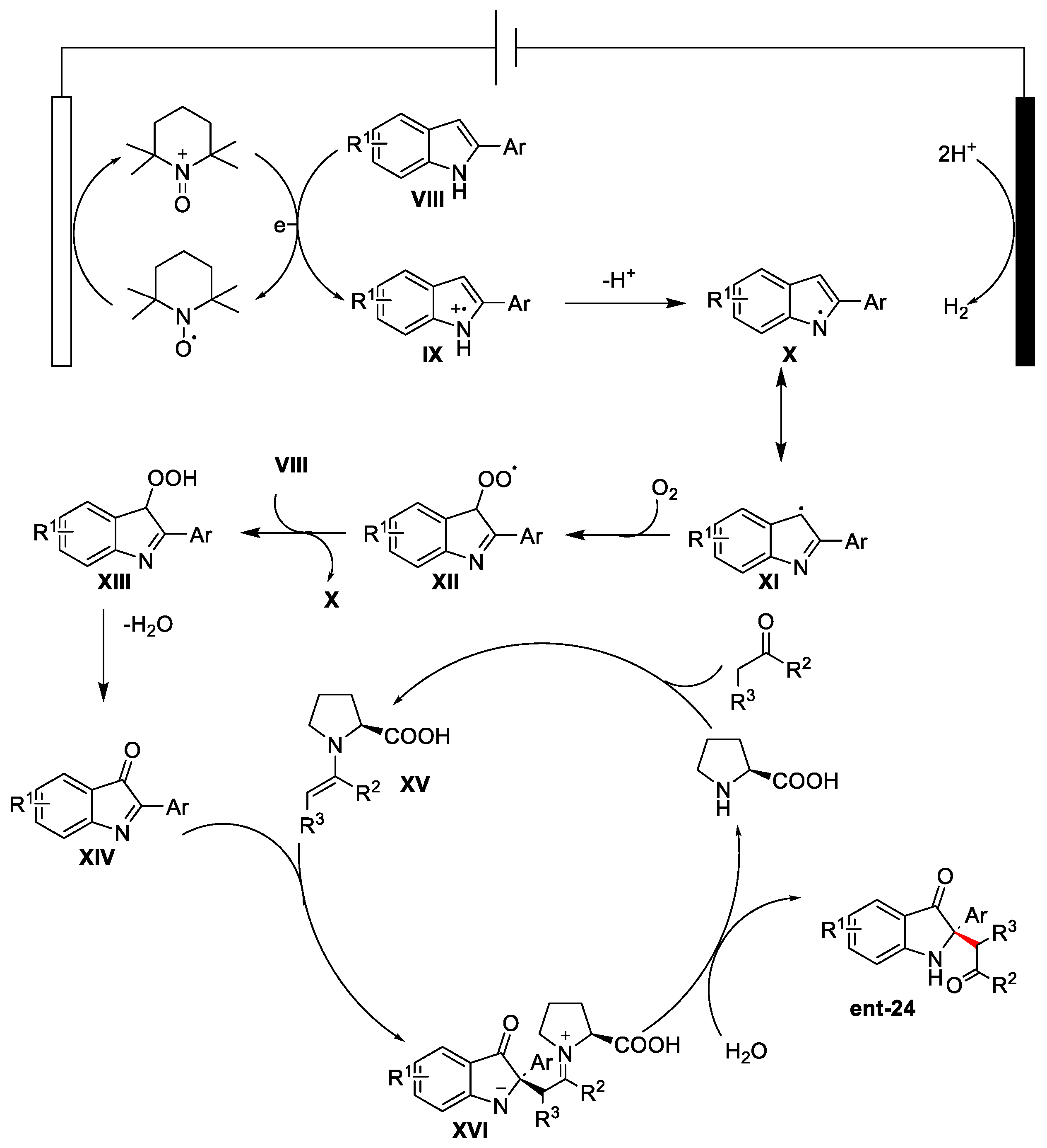 Catalysts 13 00944 g009