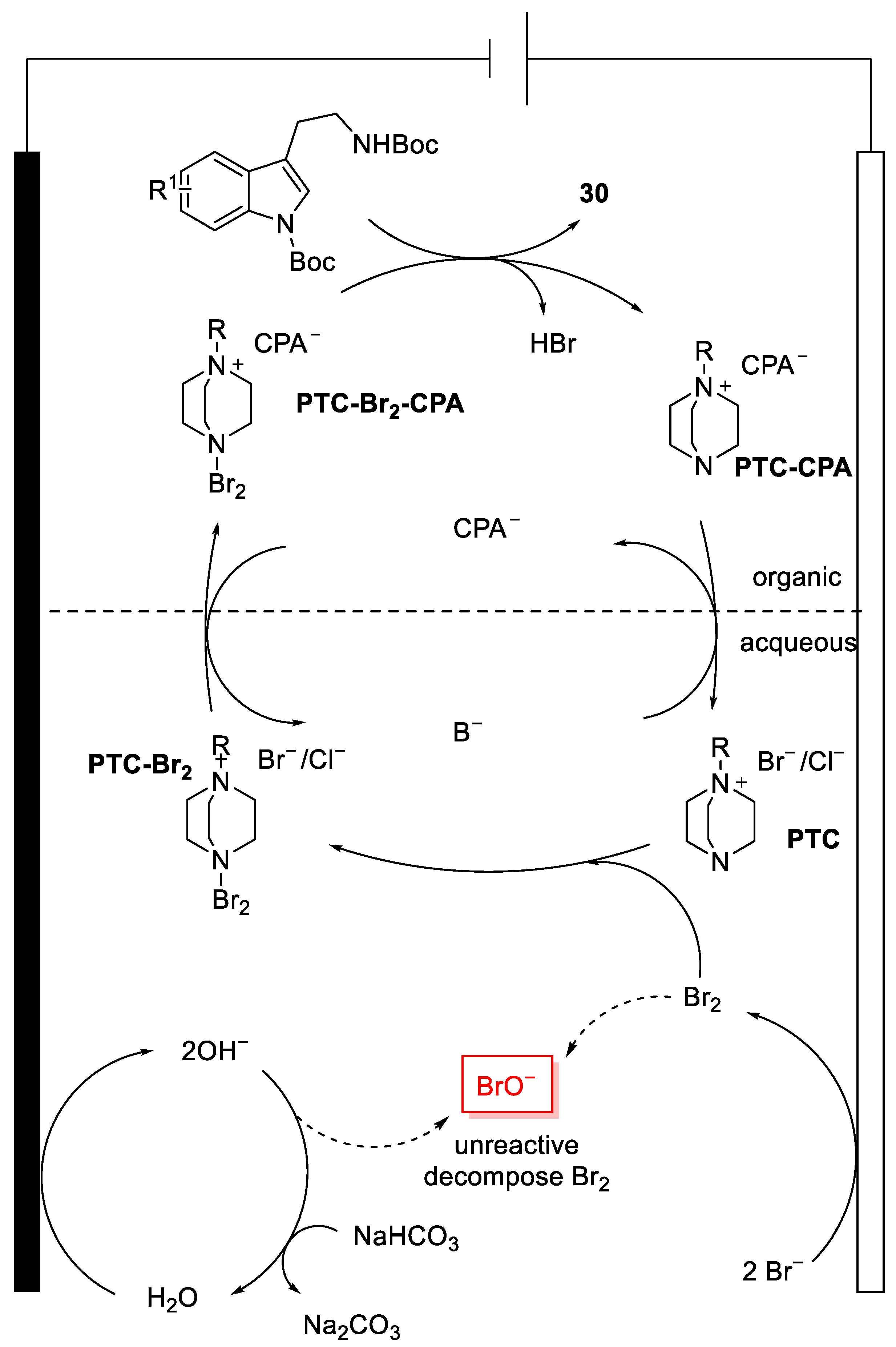 Catalysts 13 00944 g011