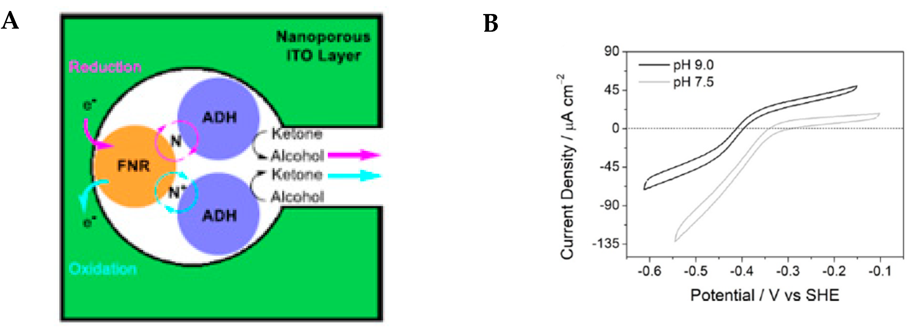 Catalysts 13 00944 g012