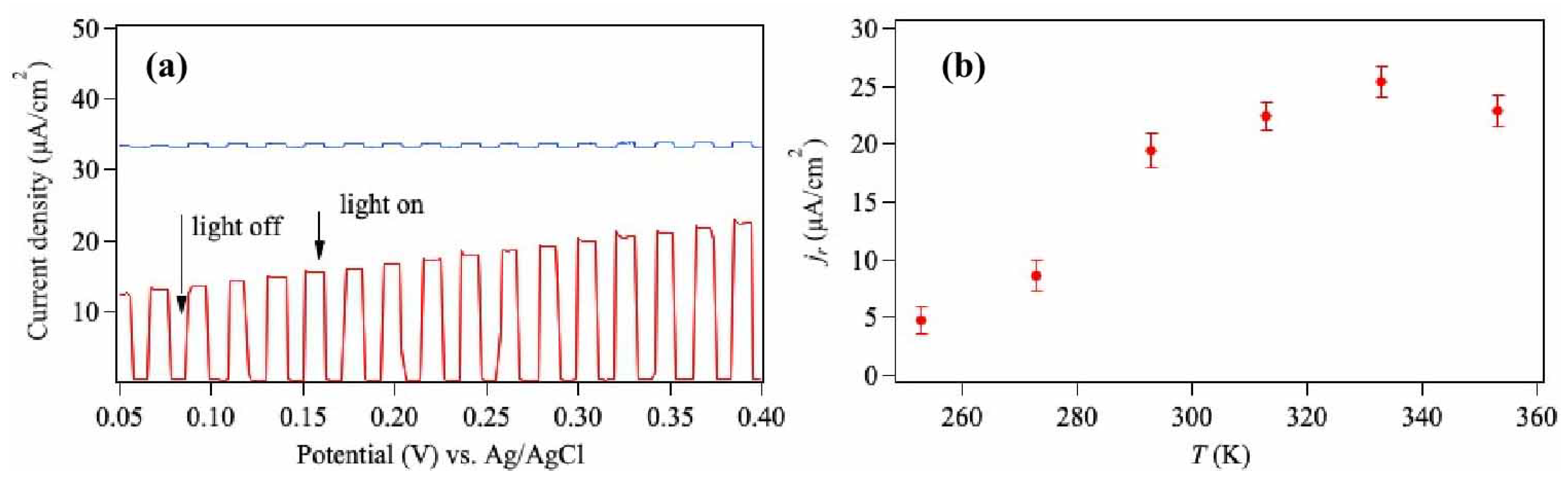 Catalysts 13 00946 g002