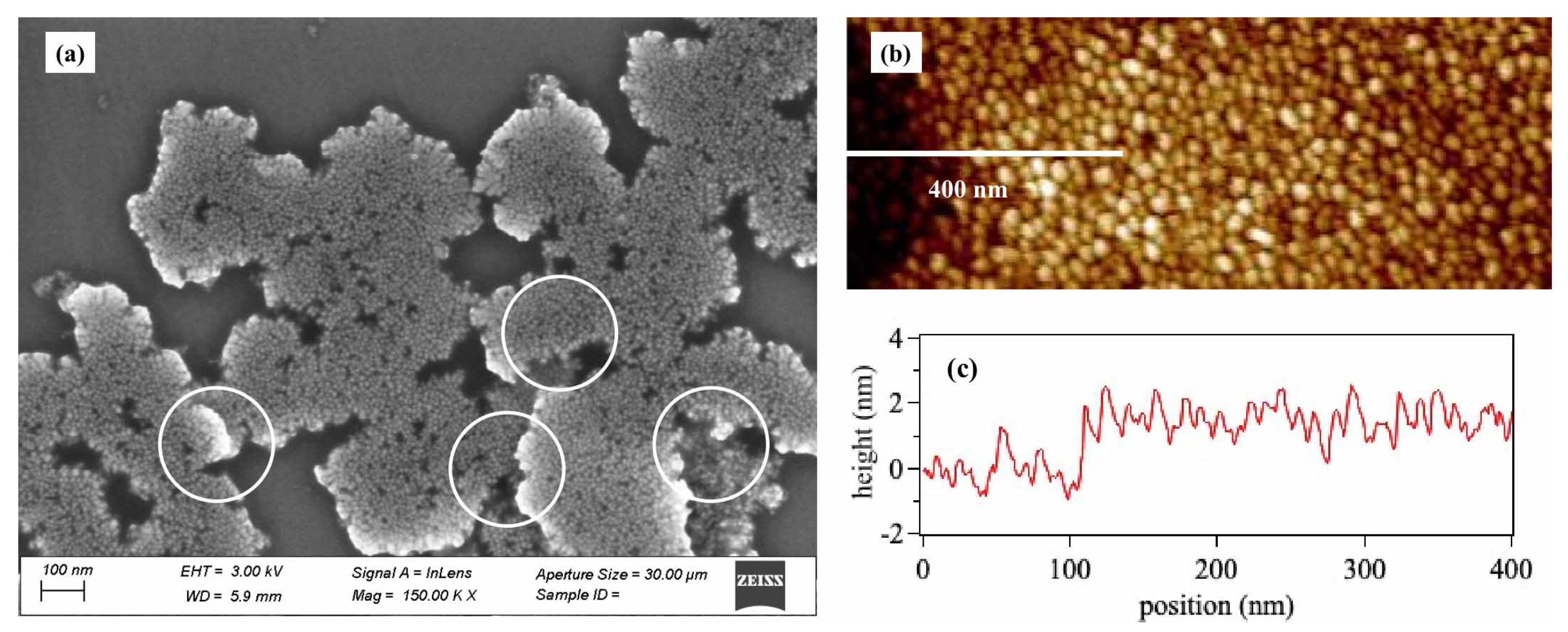 Catalysts 13 00946 g004