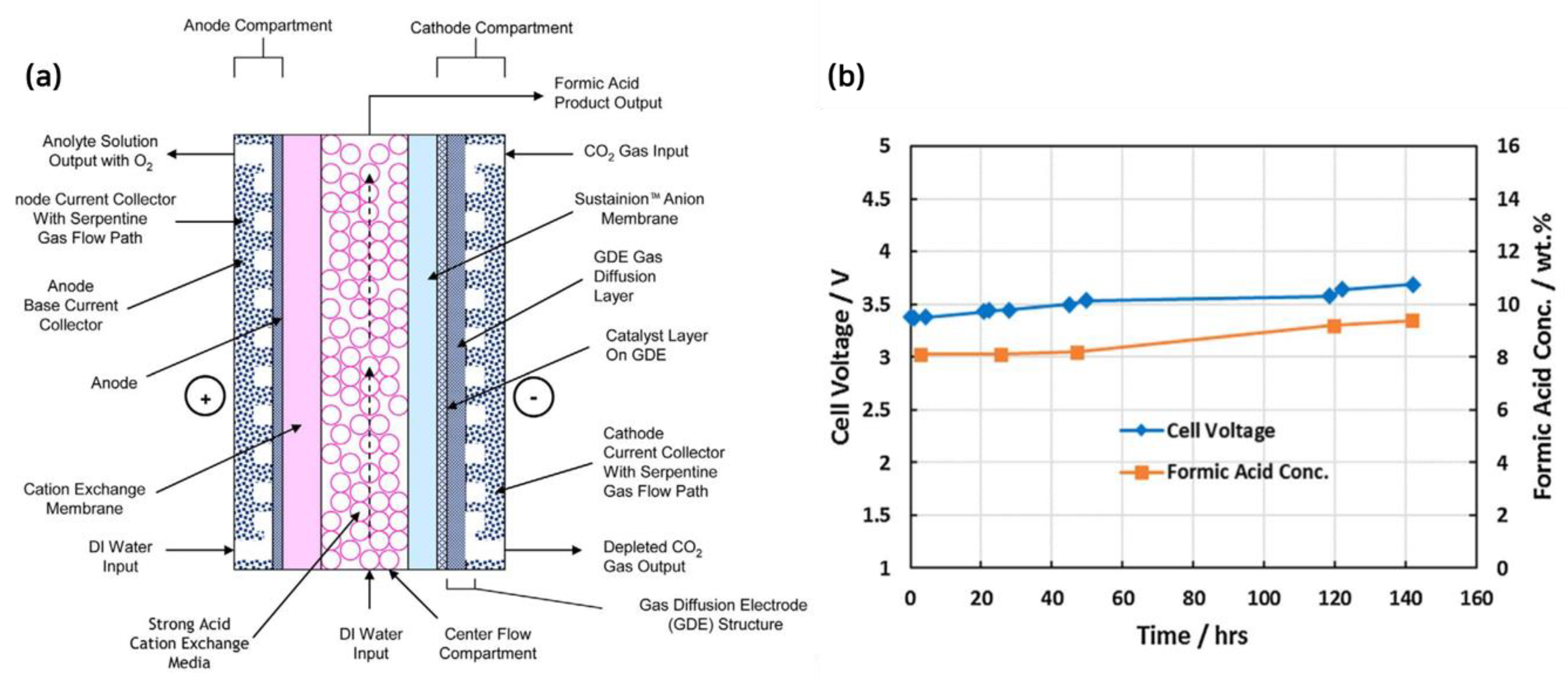 Catalysts 13 00955 g008 Catalysts 13 00955 g008
