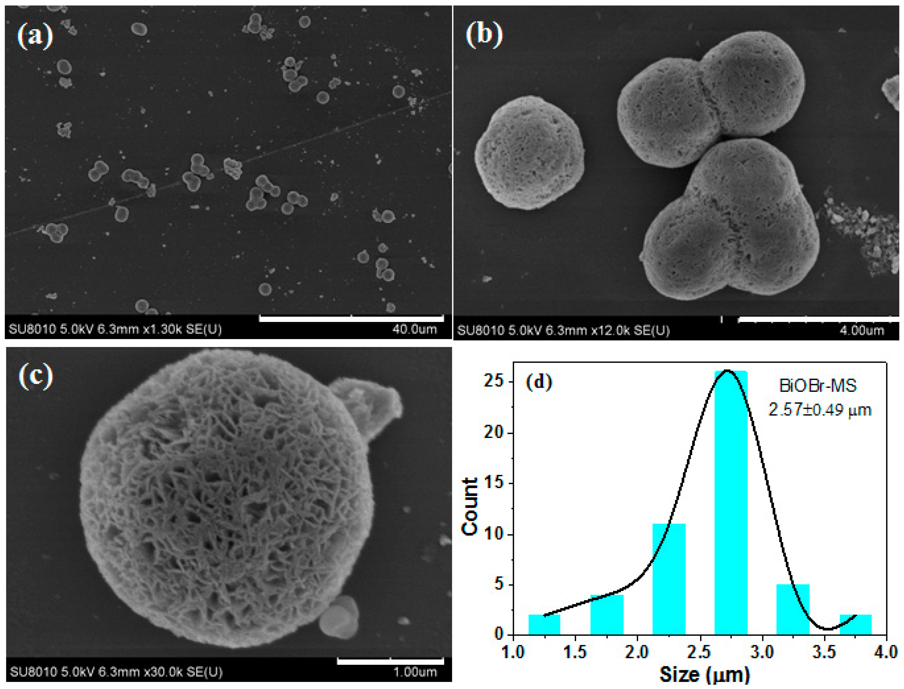 Catalysts 13 00958 g002 Catalysts 13 00958 g002