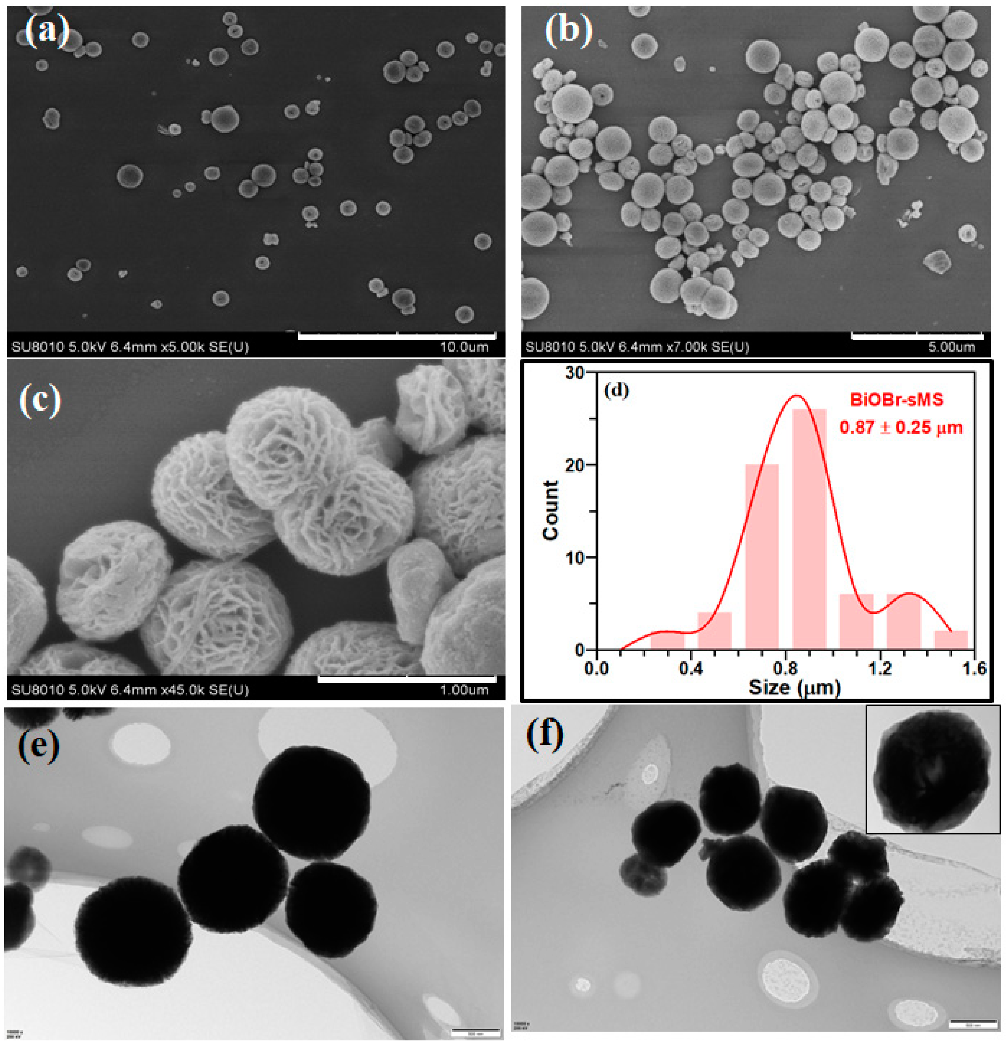 Catalysts 13 00958 g003 Catalysts 13 00958 g003