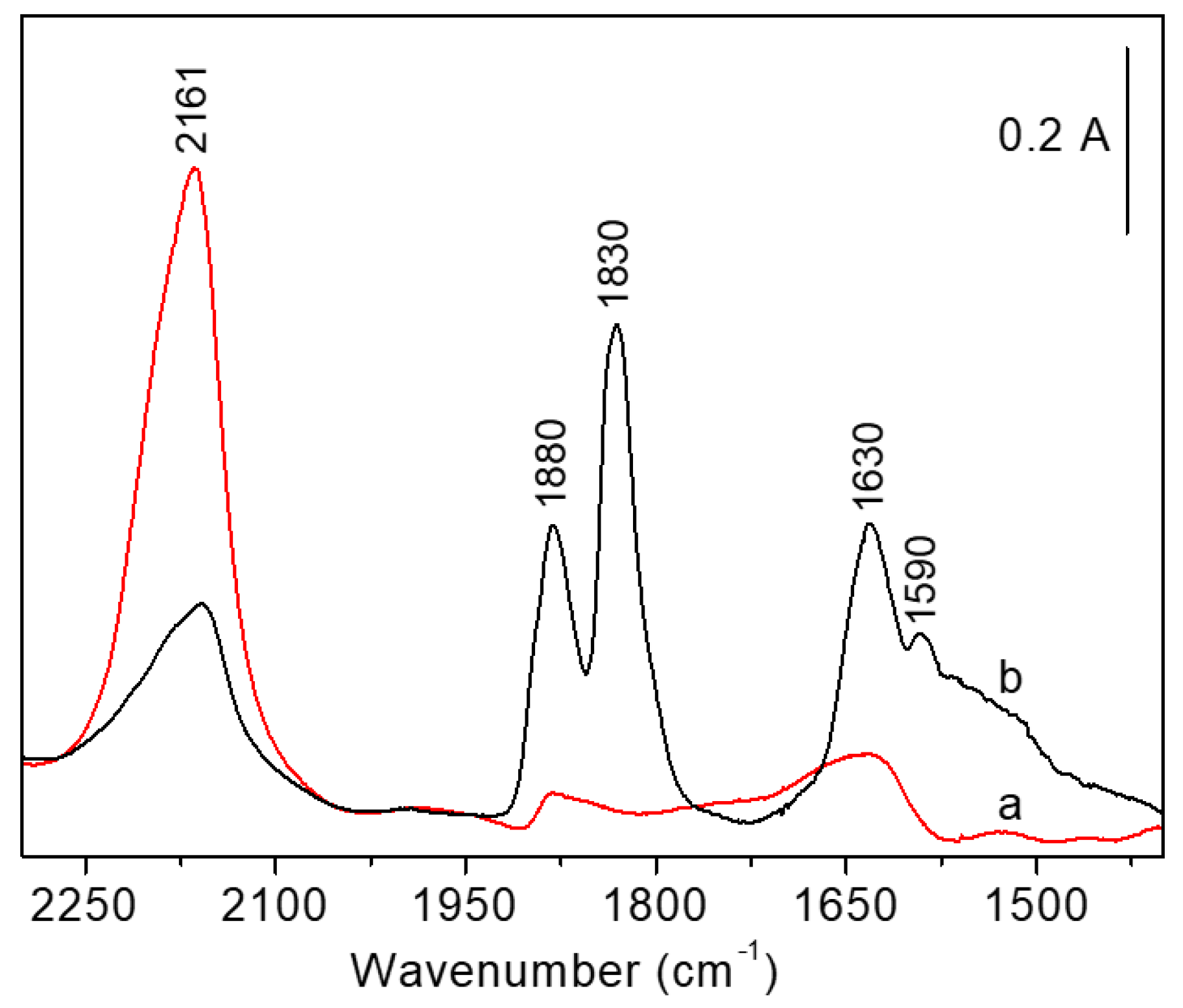 Catalysts 13 00962 g005 Catalysts 13 00962 g005