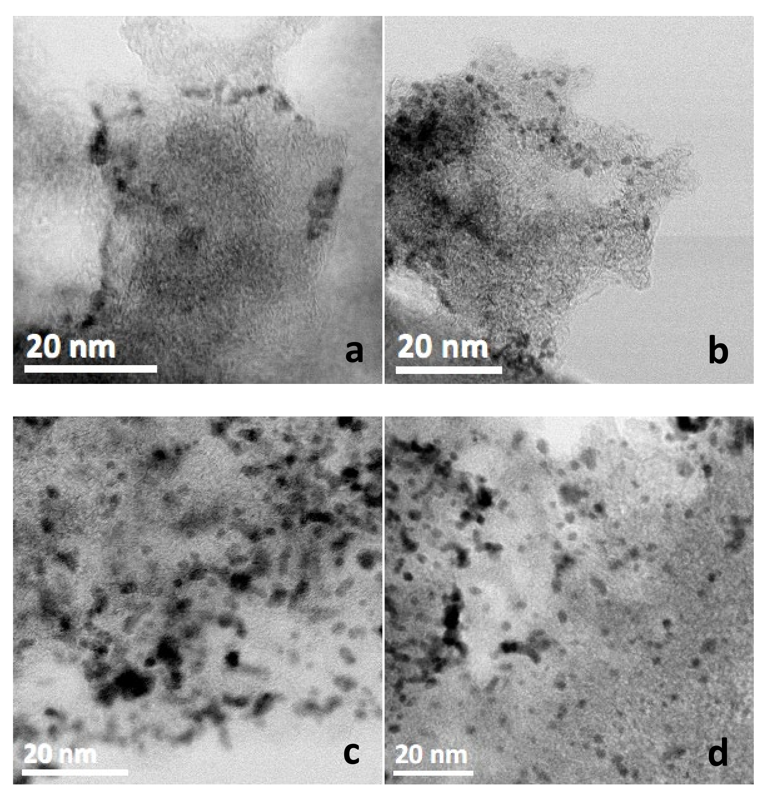 Catalysts 13 00963 g004