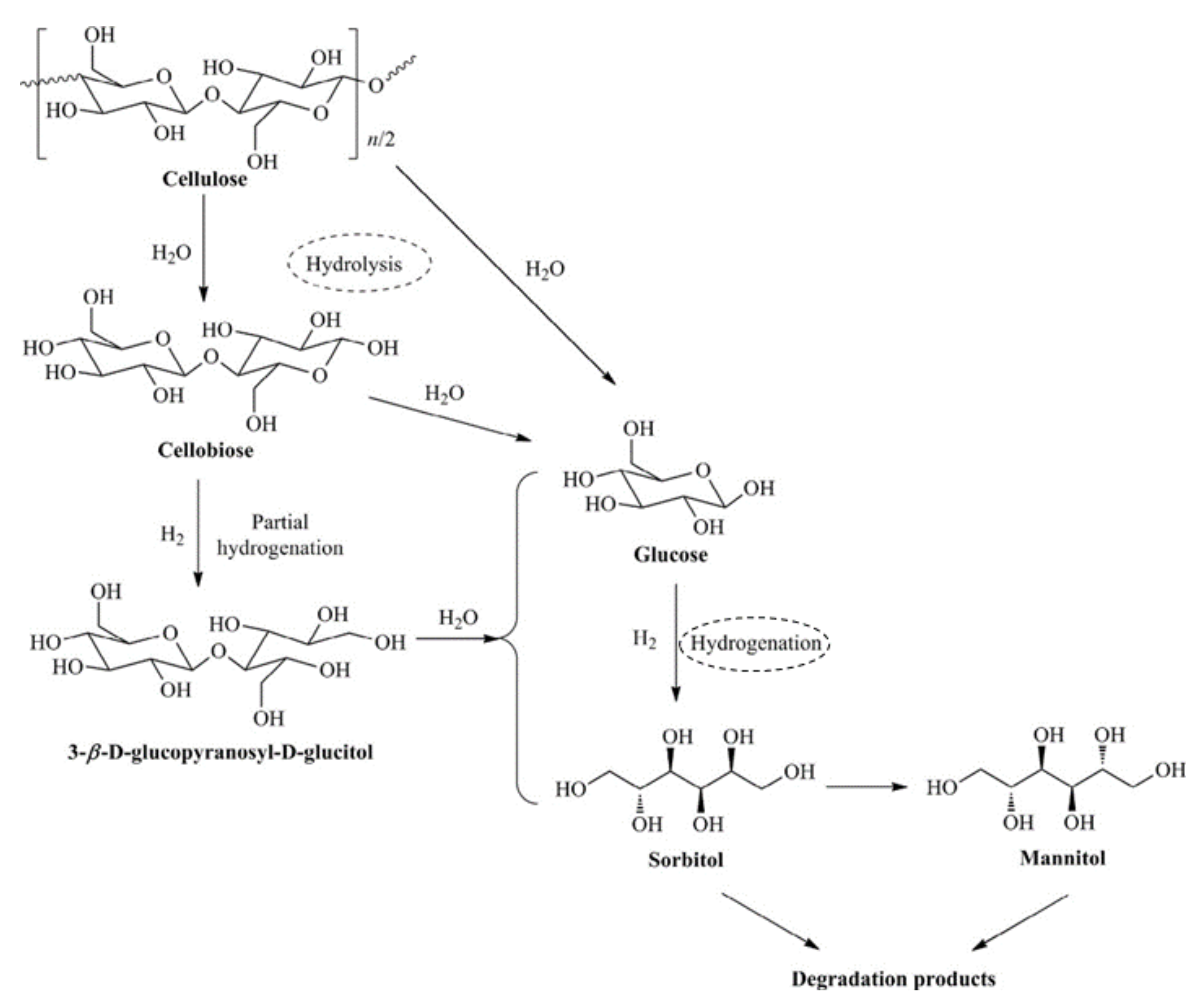 Catalysts 13 00963 sch001