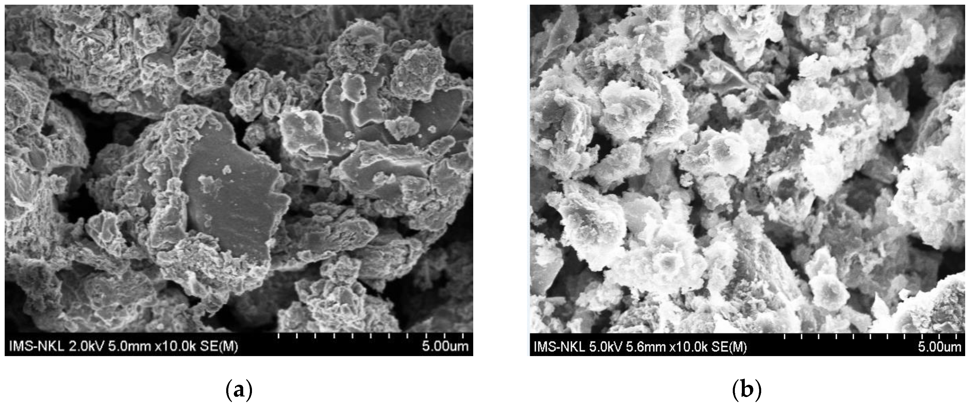 Catalysts 13 00964 g003 Catalysts 13 00964 g003