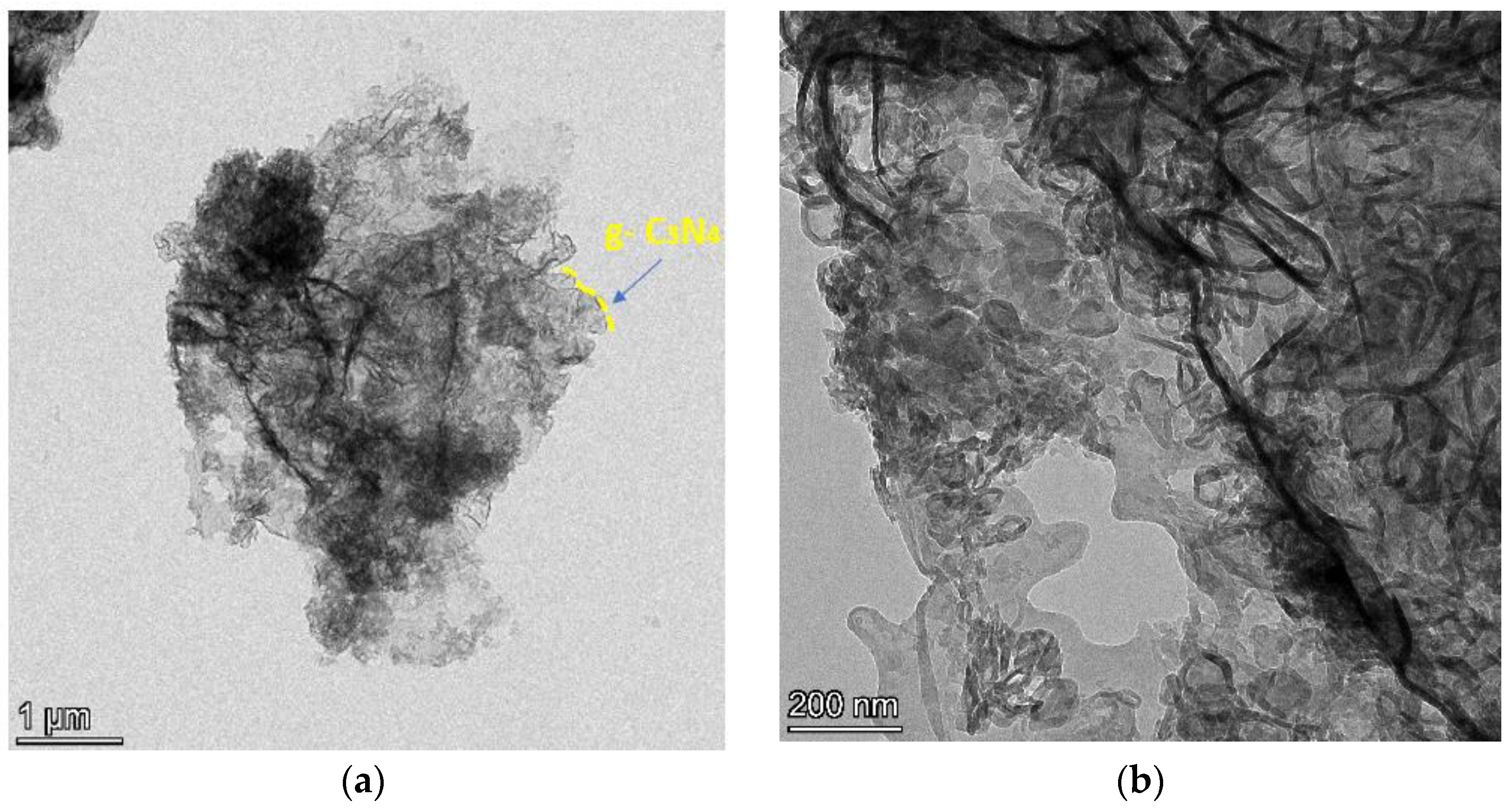 Catalysts 13 00964 g007a Catalysts 13 00964 g007a