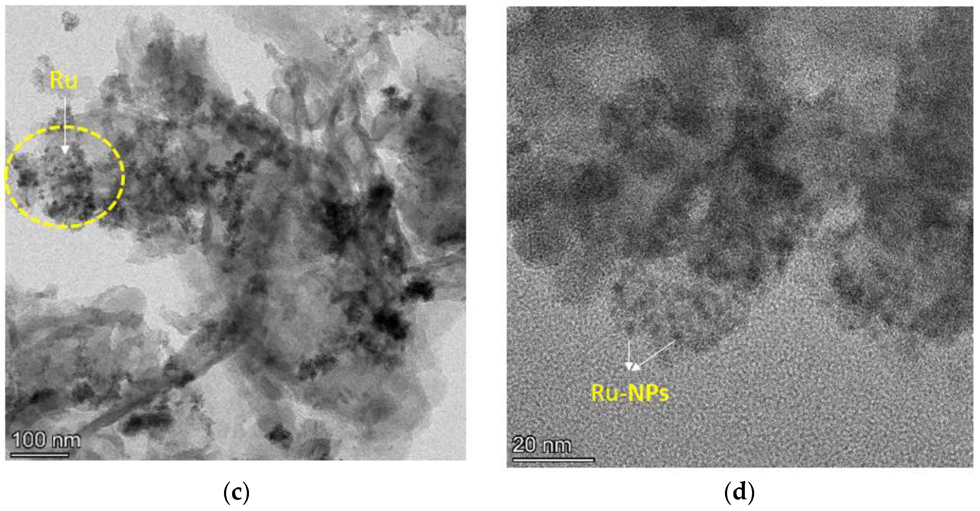 Catalysts 13 00964 g007b Catalysts 13 00964 g007b