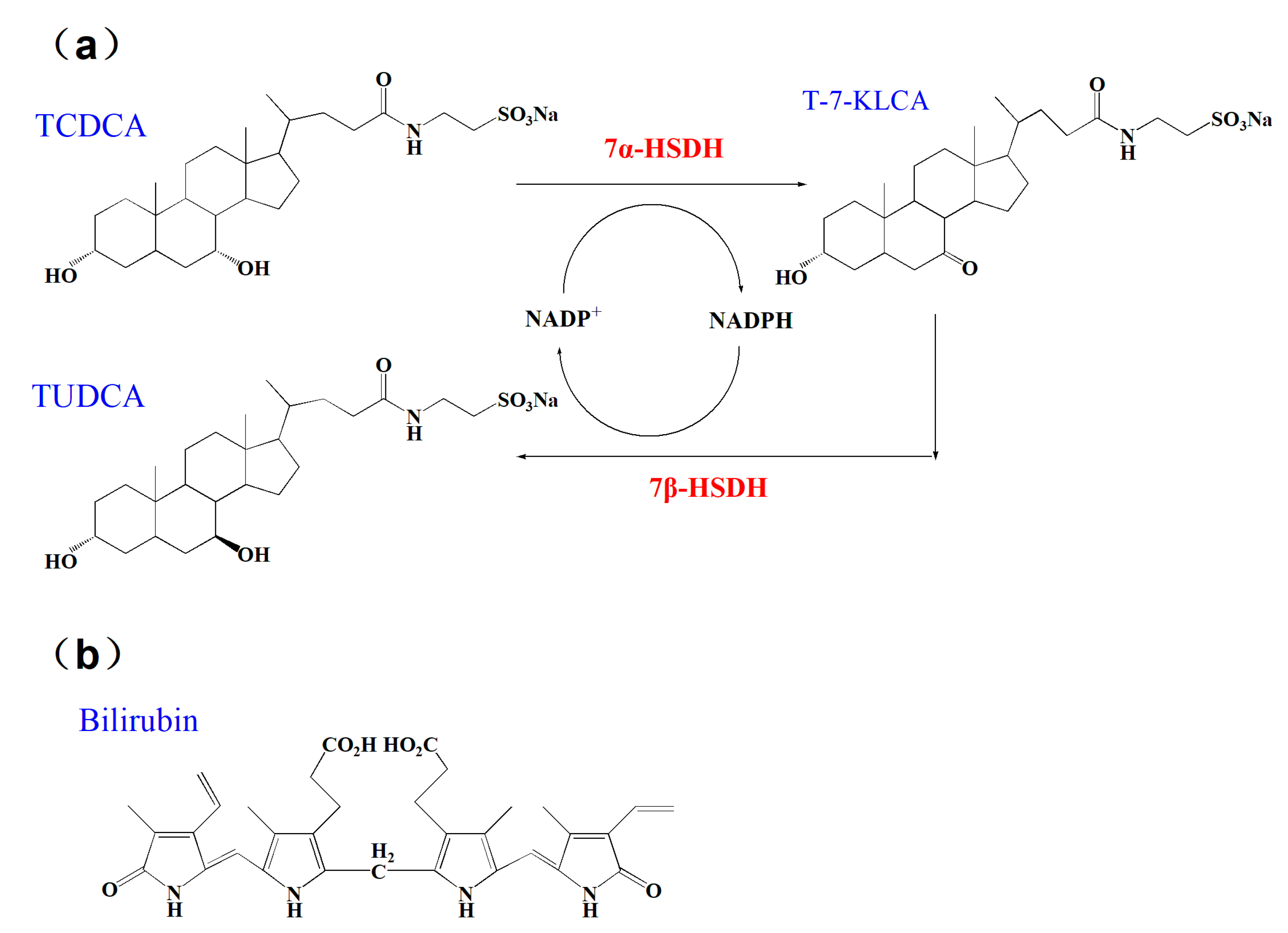 Catalysts 13 00965 g001 Catalysts 13 00965 g001