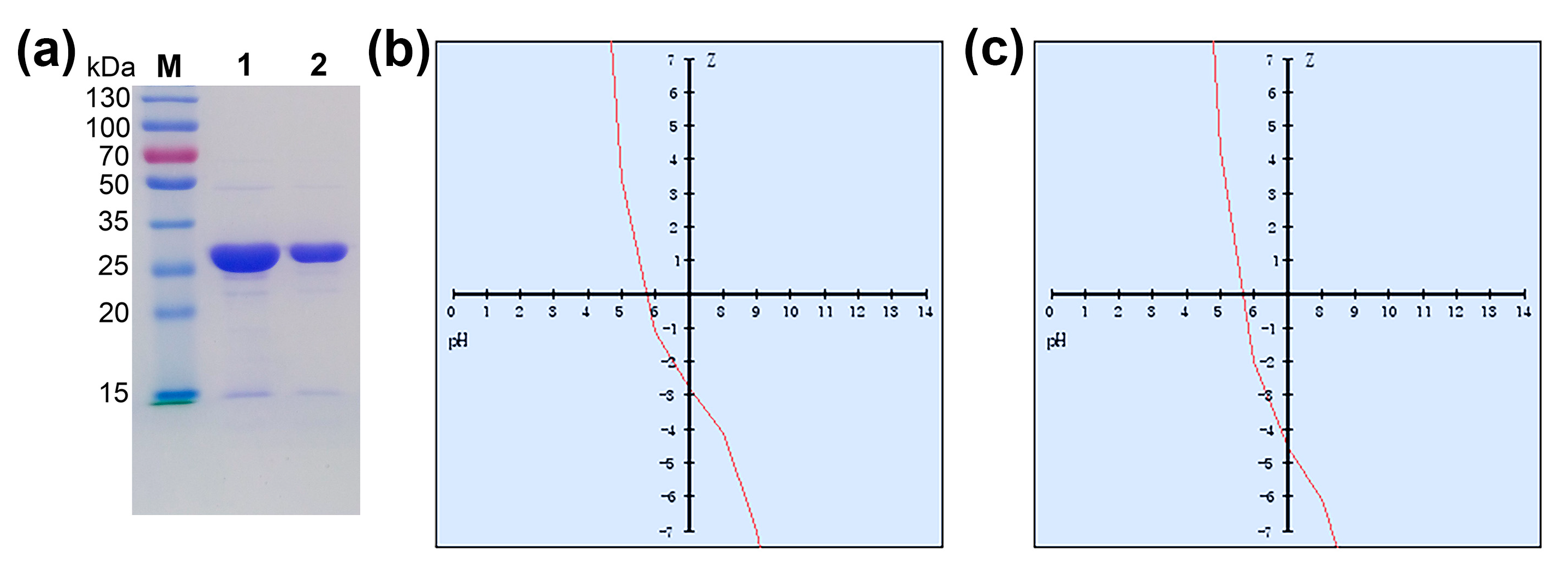 Catalysts 13 00965 g002 Catalysts 13 00965 g002