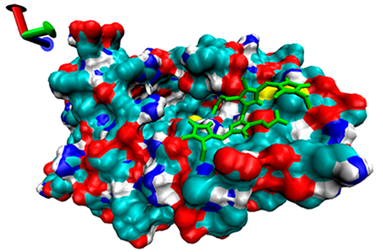 Catalysts 13 00965 i002 Catalysts 13 00965 i002
