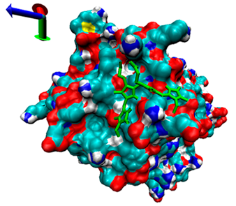 Catalysts 13 00965 i003 Catalysts 13 00965 i003