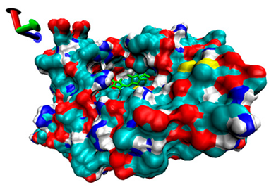 Catalysts 13 00965 i004 Catalysts 13 00965 i004