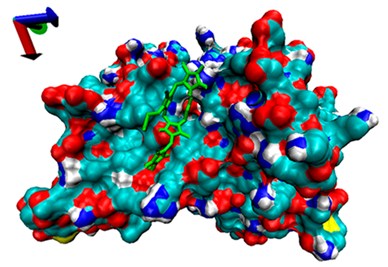 Catalysts 13 00965 i005 Catalysts 13 00965 i005