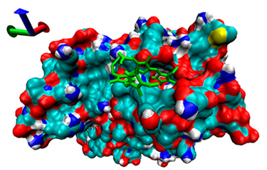 Catalysts 13 00965 i006 Catalysts 13 00965 i006