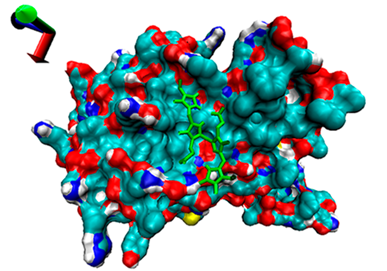 Catalysts 13 00965 i007 Catalysts 13 00965 i007