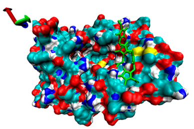 Catalysts 13 00965 i008 Catalysts 13 00965 i008