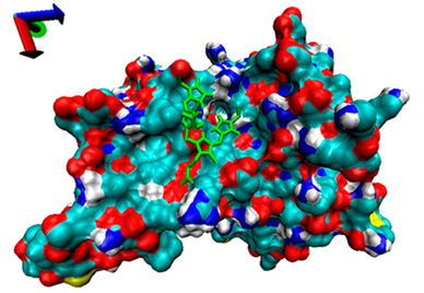 Catalysts 13 00965 i009 Catalysts 13 00965 i009