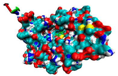 Catalysts 13 00965 i010 Catalysts 13 00965 i010