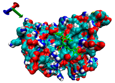 Catalysts 13 00965 i011 Catalysts 13 00965 i011