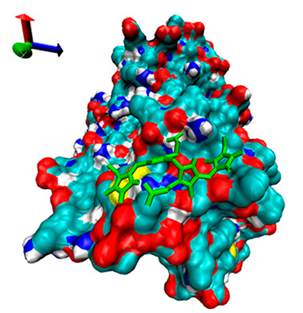 Catalysts 13 00965 i012 Catalysts 13 00965 i012